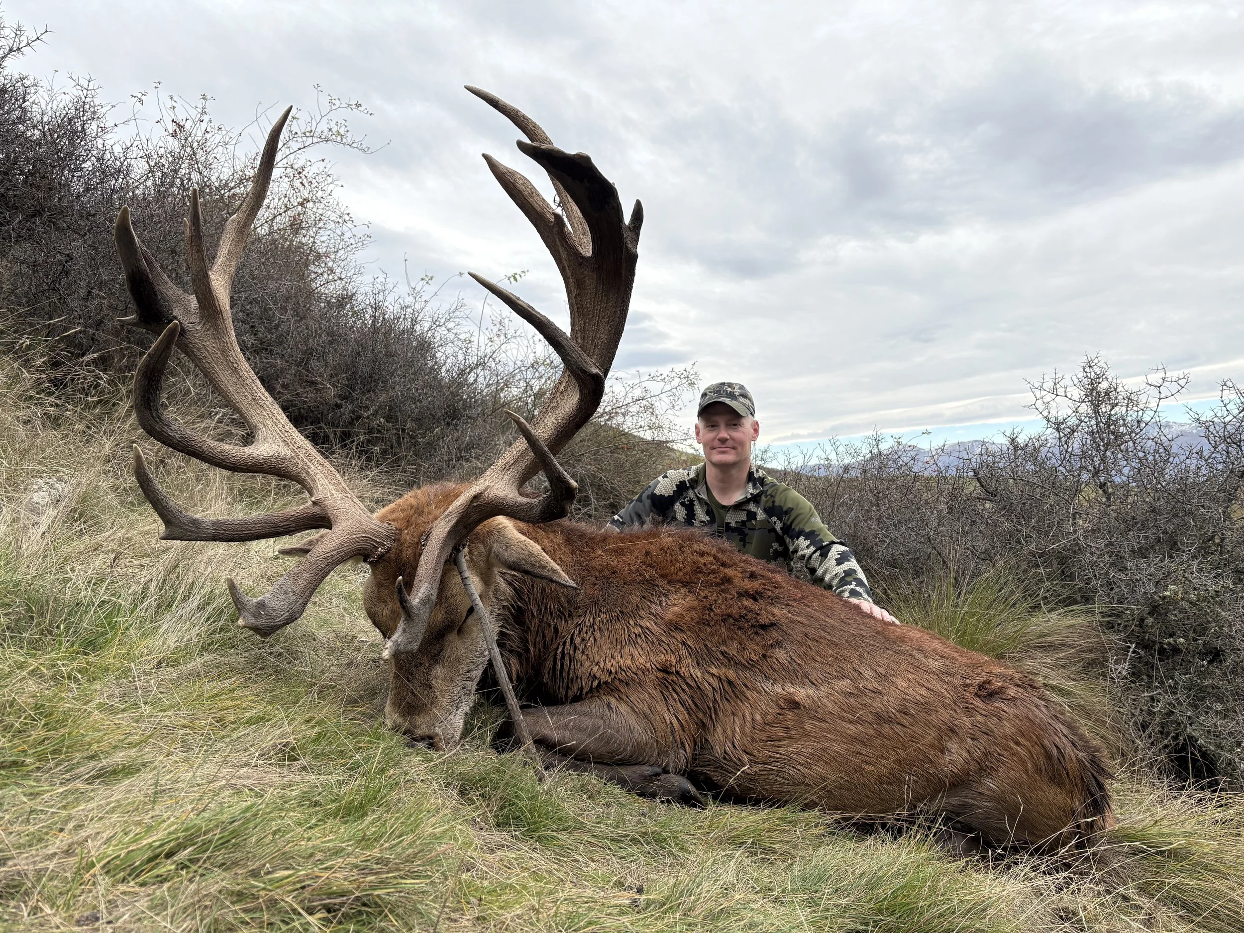 A hunter dressed in camouflage clothing kneels beside a large elk with impressive antlers in a grass and shrub-covered field, under a cloudy sky.