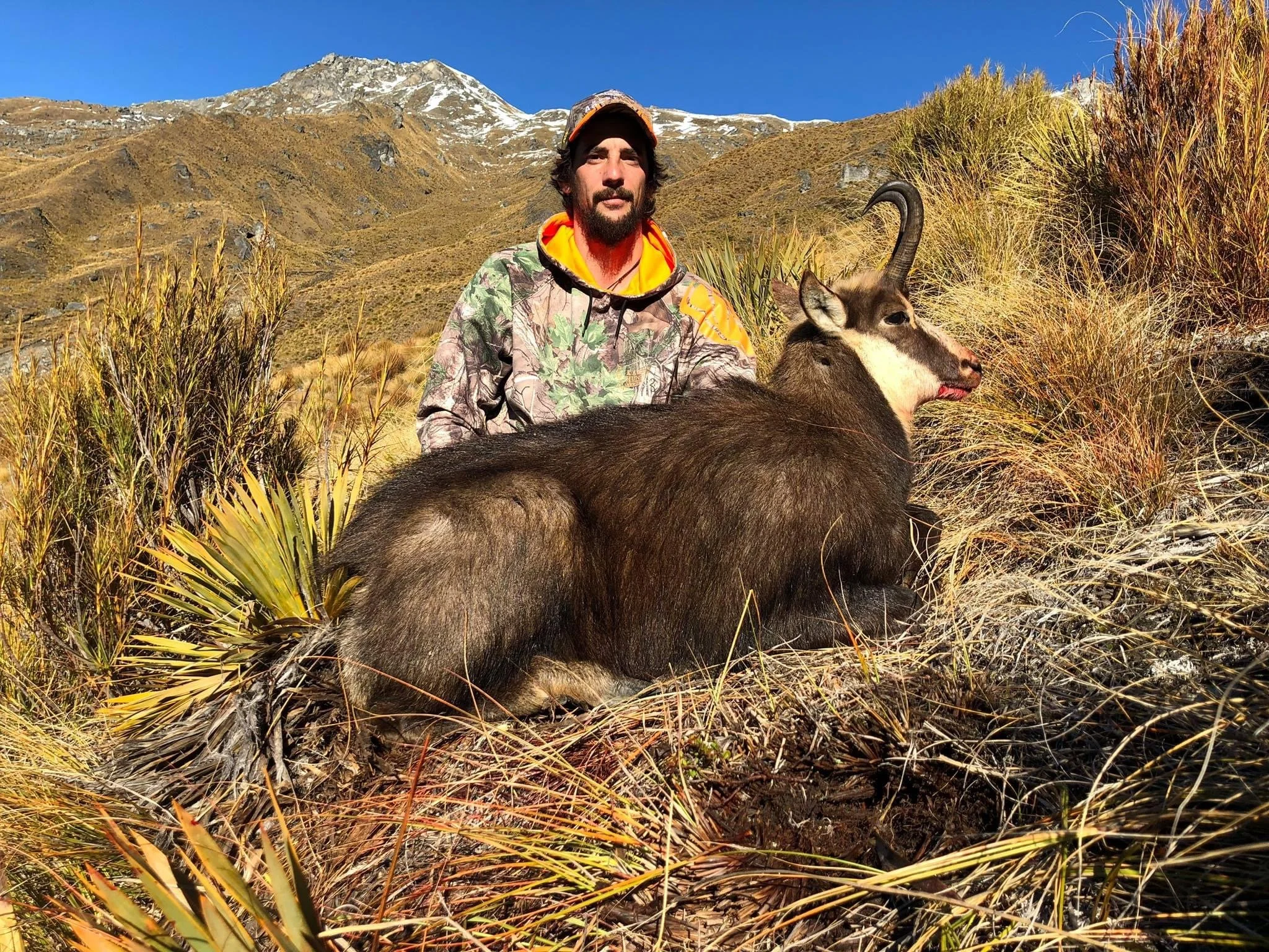 A man dressed in camouflage clothing outdoors with a llama in a mountainous landscape with dry grass and plants.