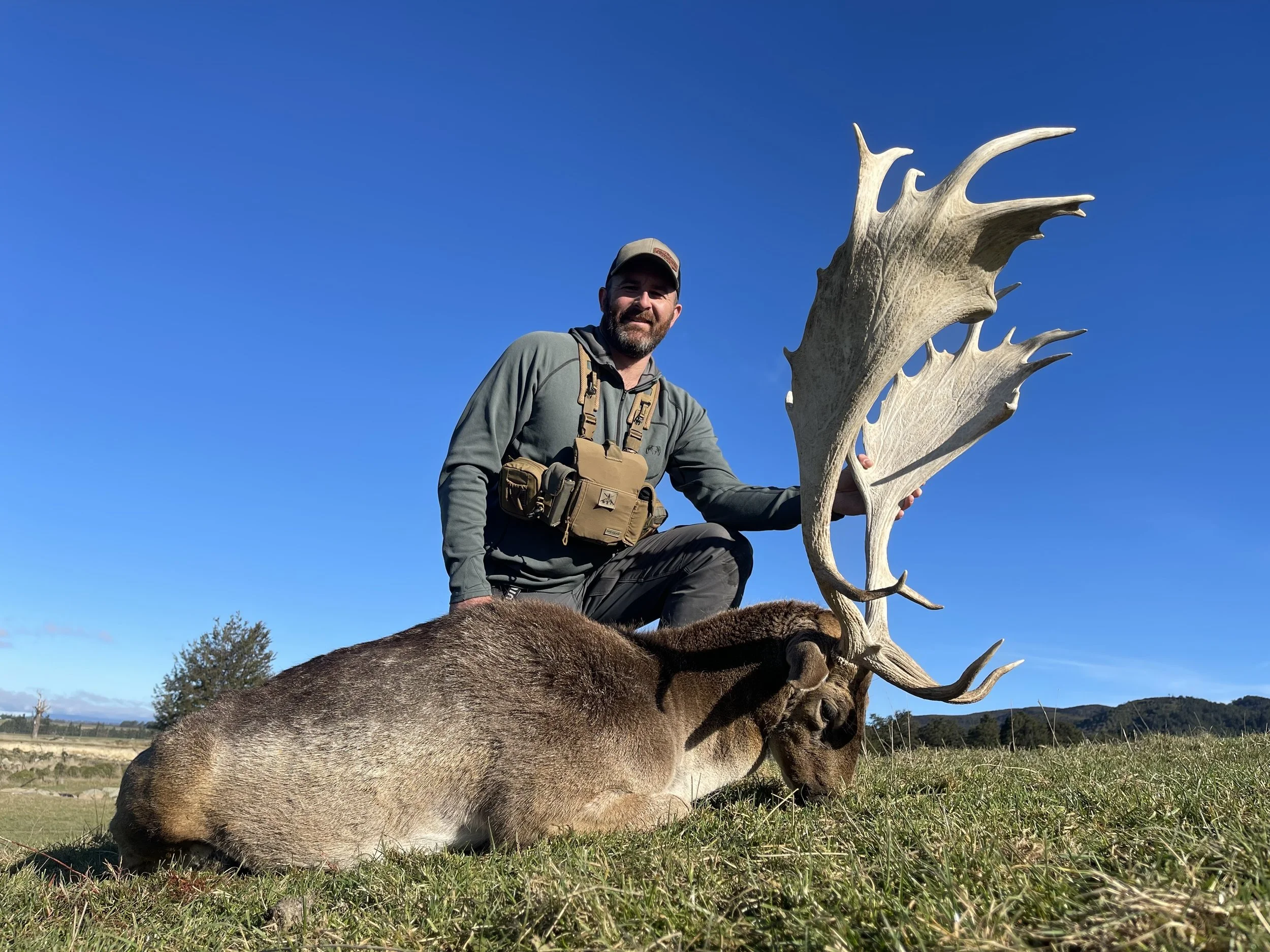 A man kneeling on the grass during daytime, holding a large fallow buck antler, next to a deceased fallow buck of world record book score., with a bright blue sky and distant trees in the background.
