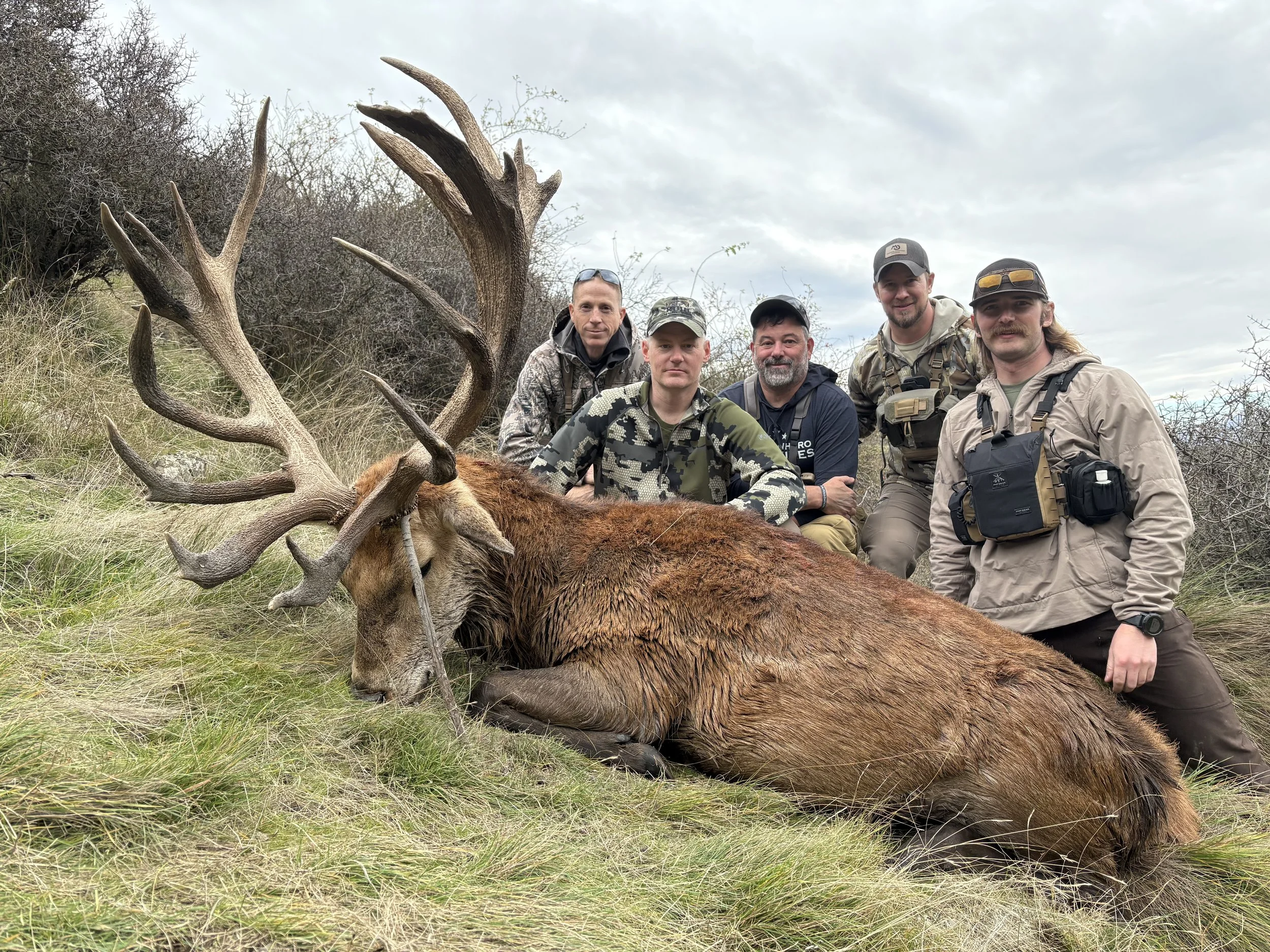 A group of five men posing behind a large, deceased elk with impressive antlers, lying on the grass in a natural outdoor setting, under an overcast sky.