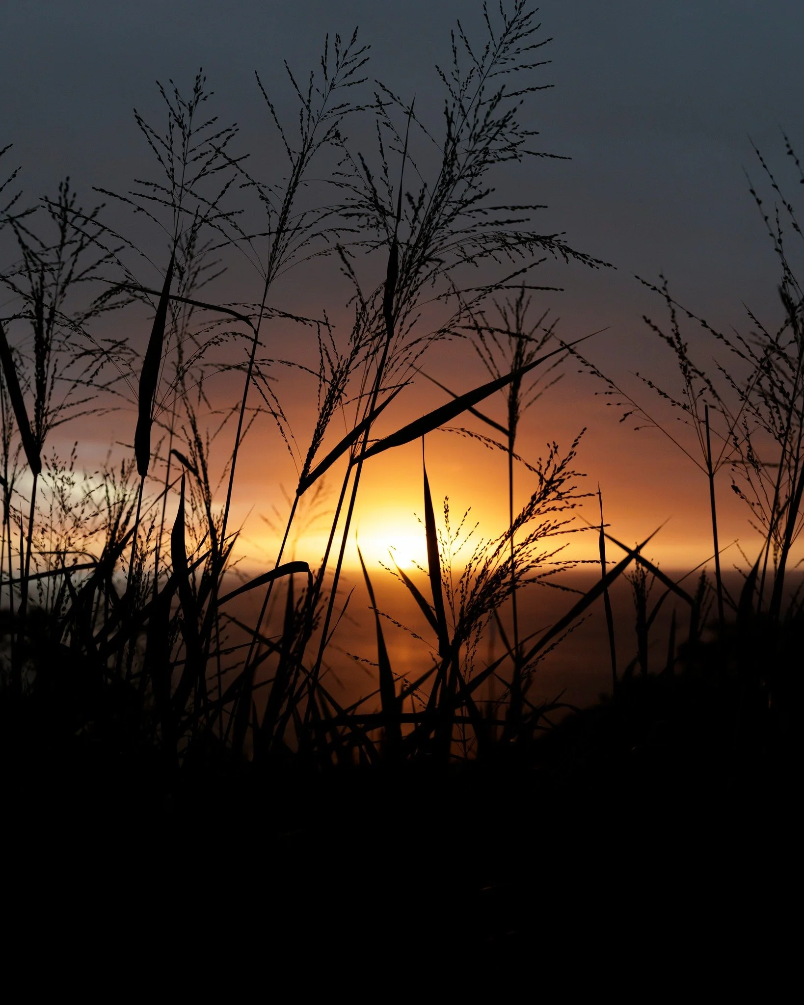 🌇 Si vous n'avez pas eu la chance de voir le coucher de soleil d'hier soir&hellip; 👌

📍 Ouen Toro

#noumea #nouvellecaledonie #sunset #photography