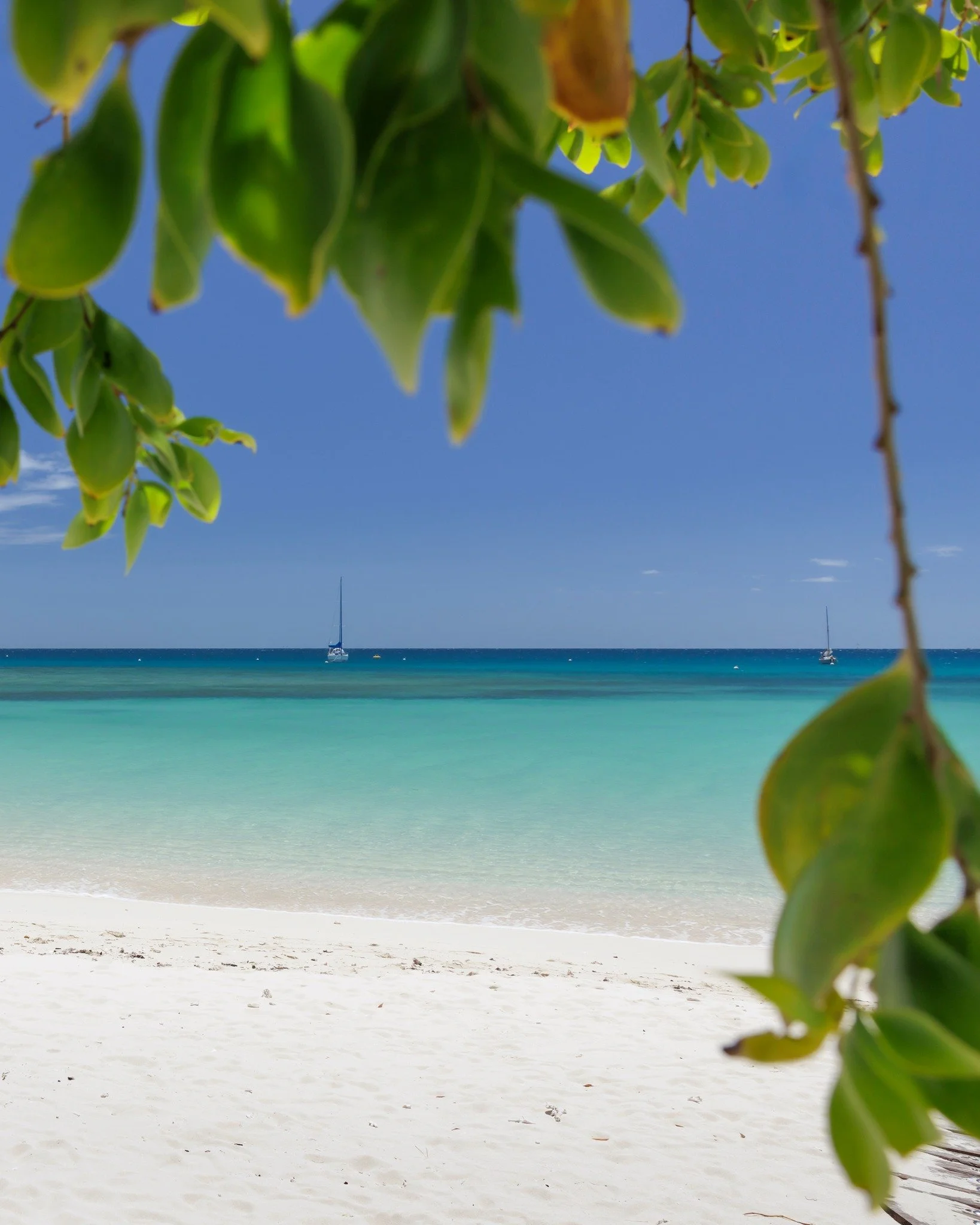 📍 &Icirc;lot Signal &ndash; Nouvelle-Cal&eacute;donie

🌊 Situ&eacute; &agrave; l&rsquo;entr&eacute;e du lagon de Noum&eacute;a, l&rsquo;&icirc;lot Signal marque l&rsquo;un des passages vers l&rsquo;oc&eacute;an ouvert. Son nom vient du m&acirc;t de