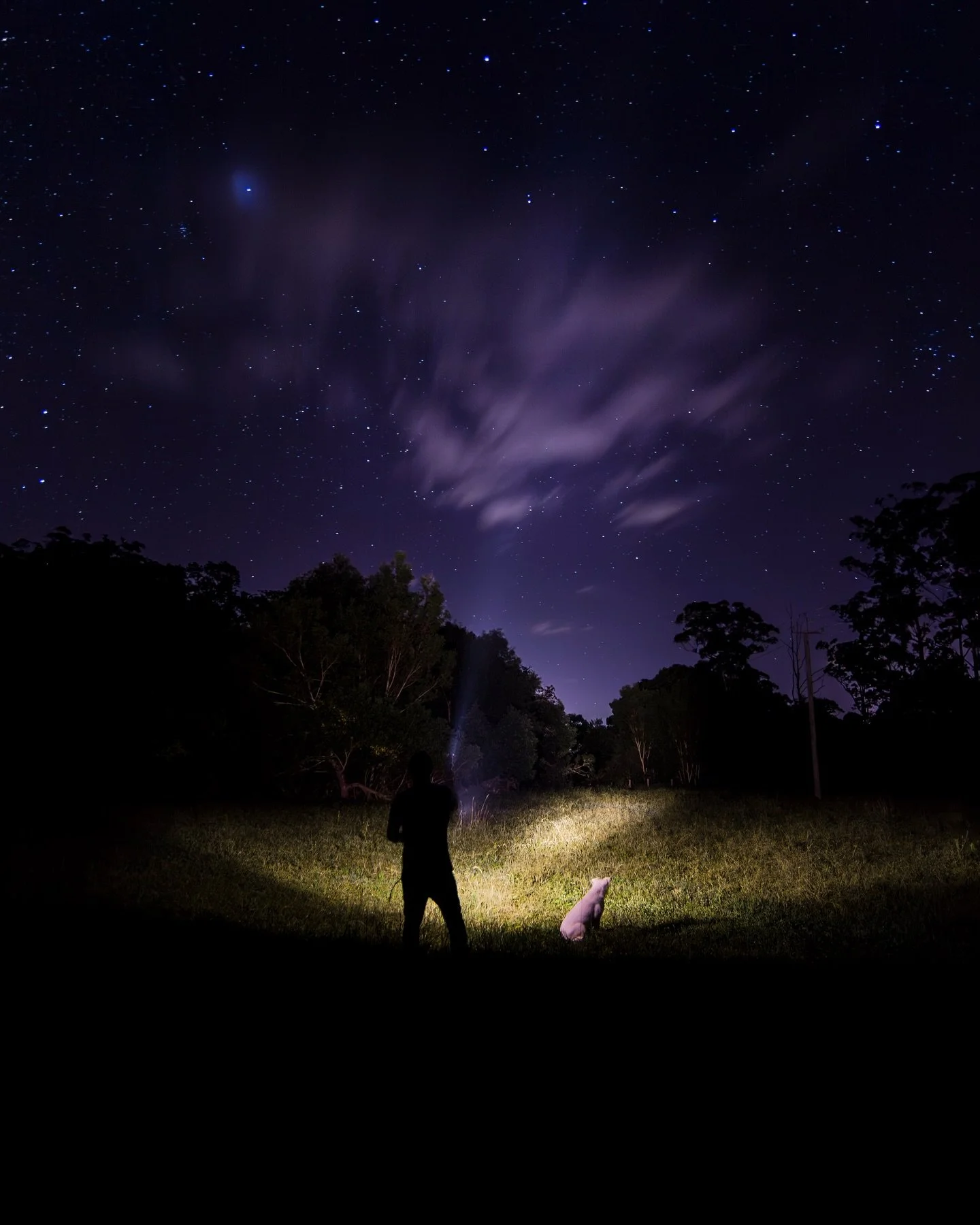 🦘Australia, 2015, at @lovelanefarmstay with my eternal friends Ryan and Jaimy, exploring Stokers Siding at night. 🌌