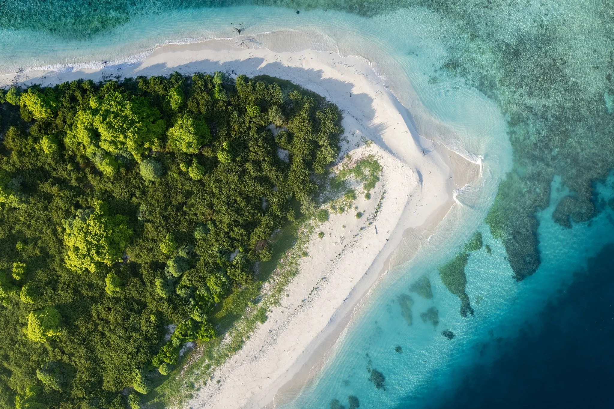 🏝️ Un coin de paradis perdu dans le lagon sud de la Nouvelle-Cal&eacute;donie

✨ Entre sable blanc, eau turquoise et silence absolu.