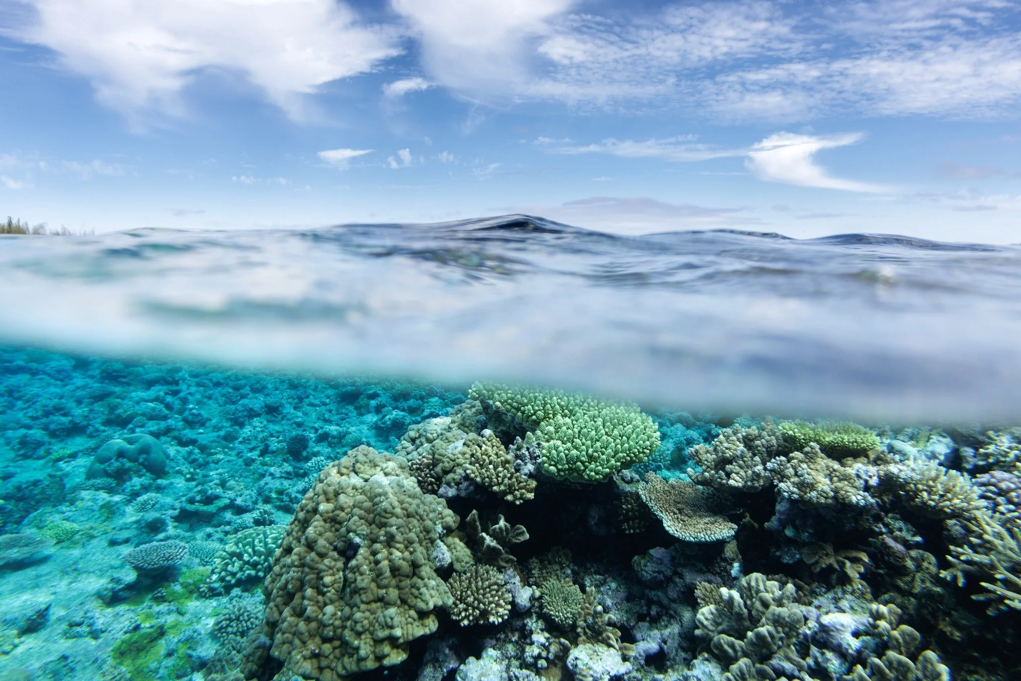 🌊 Entre deux mondes, l&agrave; o&ugrave; le lagon rencontre le ciel
🪸 Les coraux de Lifou d&eacute;voilent leurs couleurs sous une eau cristalline
🌤️ Au-dessus, un ciel incroyable compl&egrave;te ce tableau naturel
🤫 Un coin secret &agrave; l&rsq