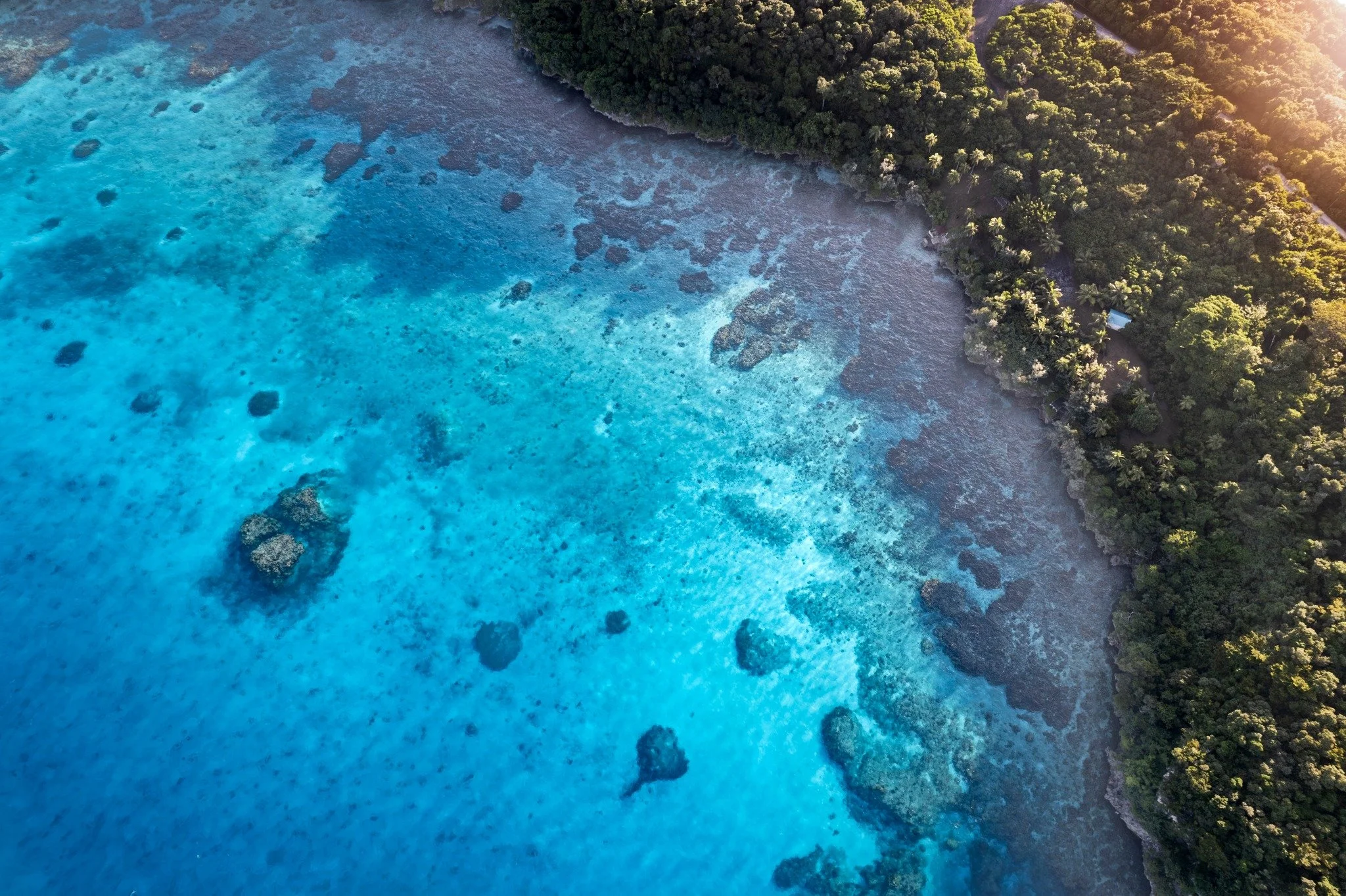 🌊 Les eaux cristallines de la baie de Jinek r&eacute;v&egrave;lent toute la richesse du r&eacute;cif vu du ciel.
🐠 V&eacute;ritable sanctuaire marin, ce lieu abrite une incroyable diversit&eacute; de poissons et de coraux.
☀️ Quand la lumi&egrave;r