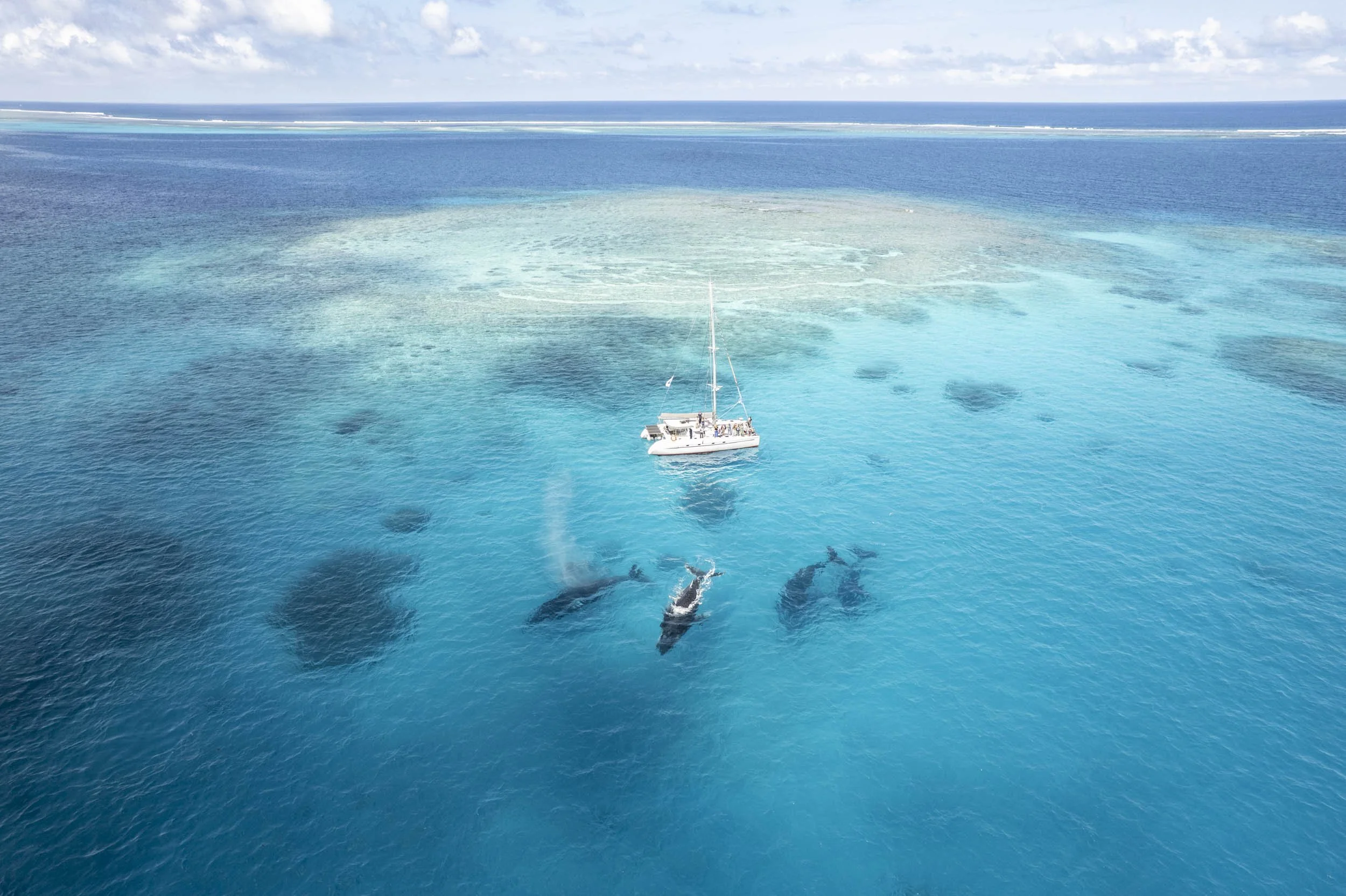 DJI_0232.jpg