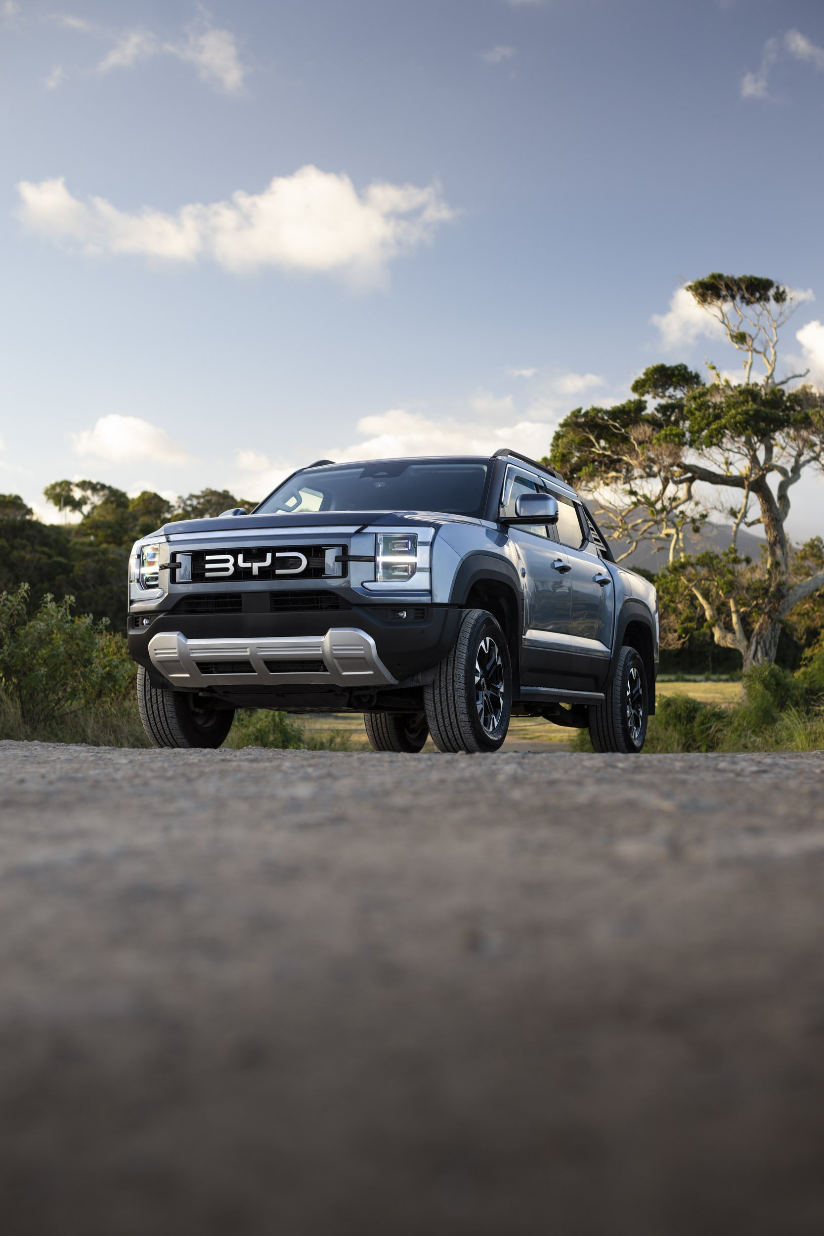 BYD Shark 444-Edit.jpg