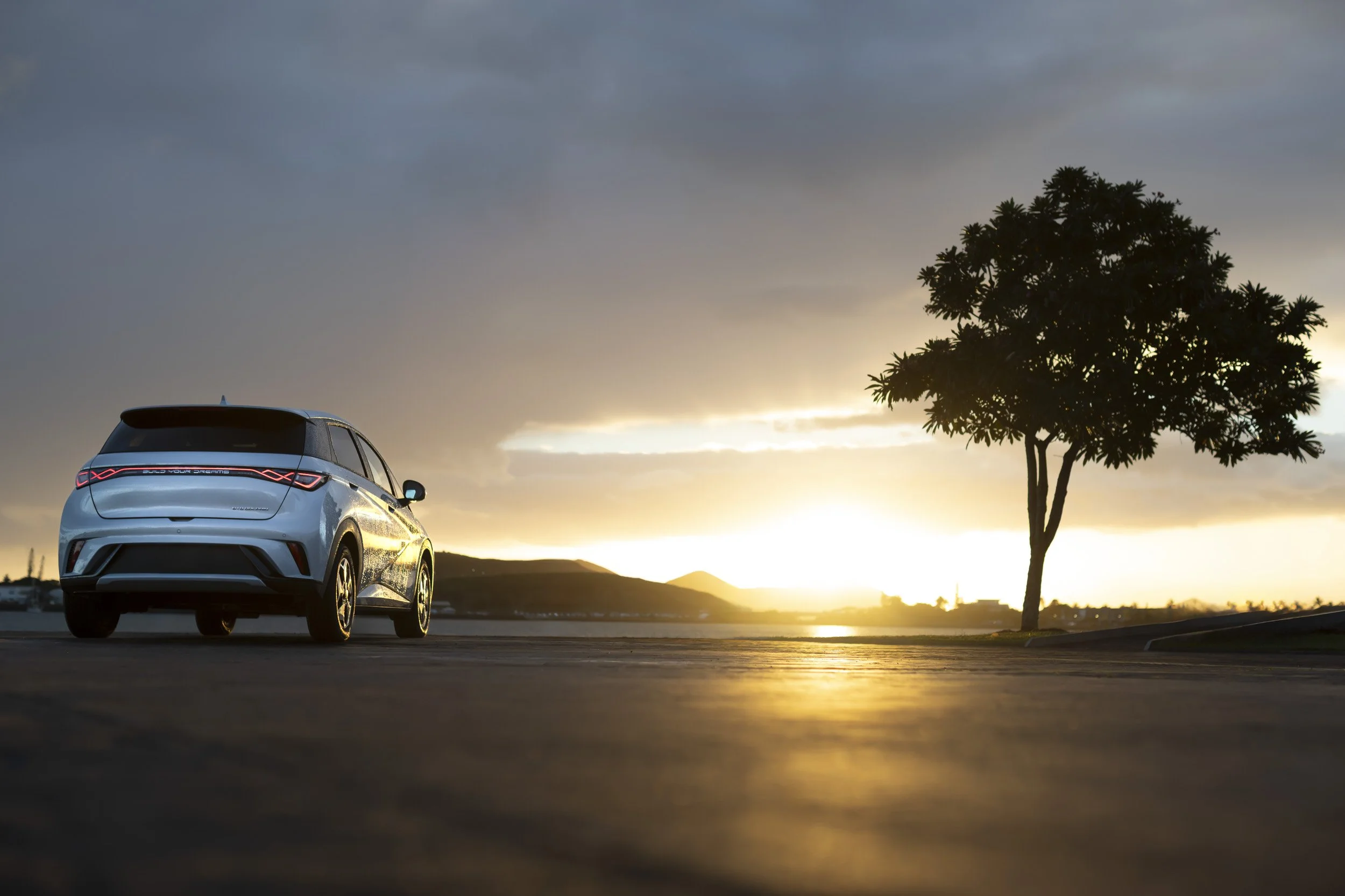 BYD Dolphin 289-Edit.jpg