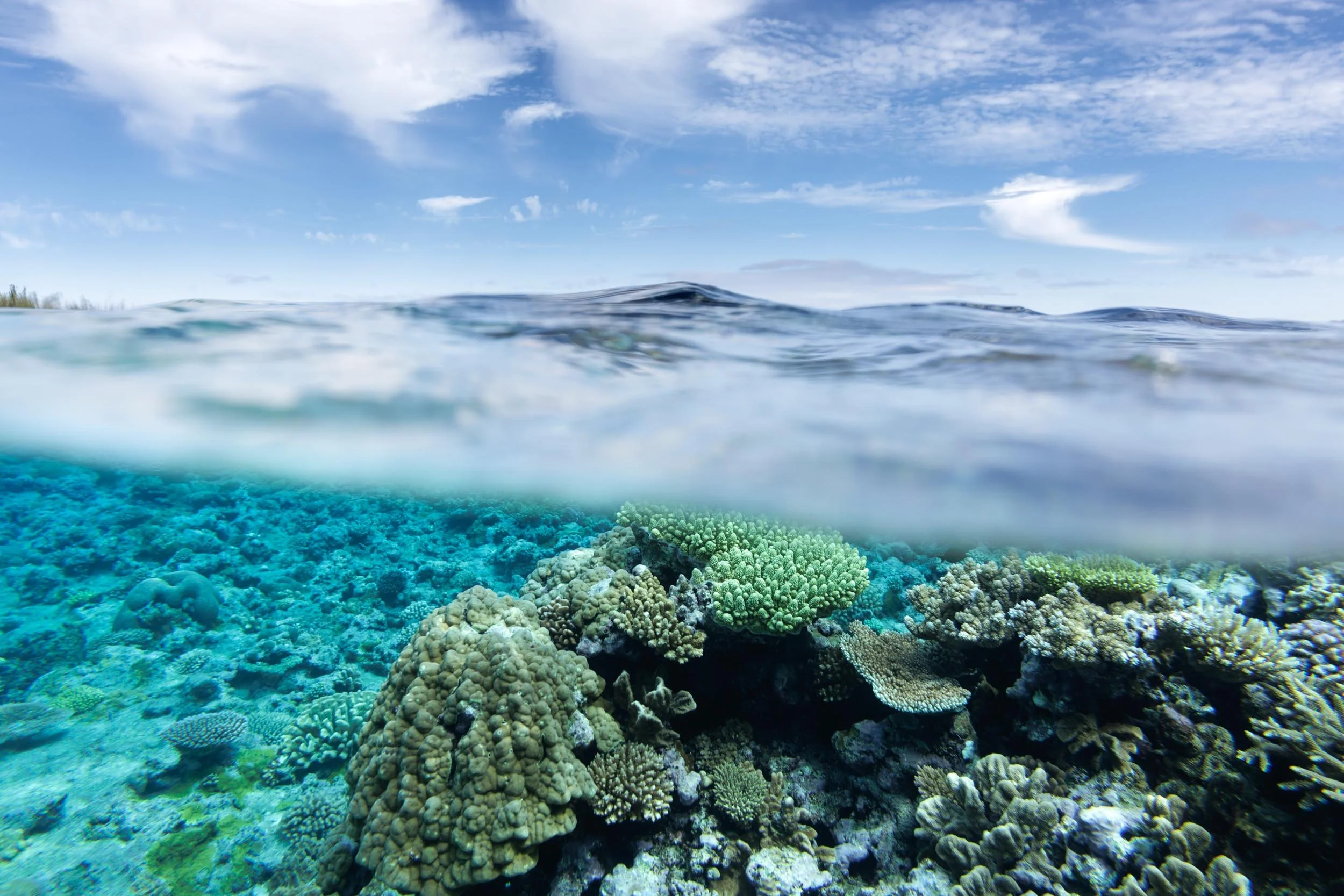 Lifou New Caledonia.jpg