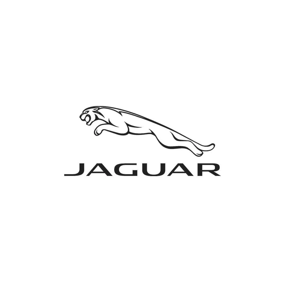 Logo-jaguar-nouvelle-caledonie.jpg