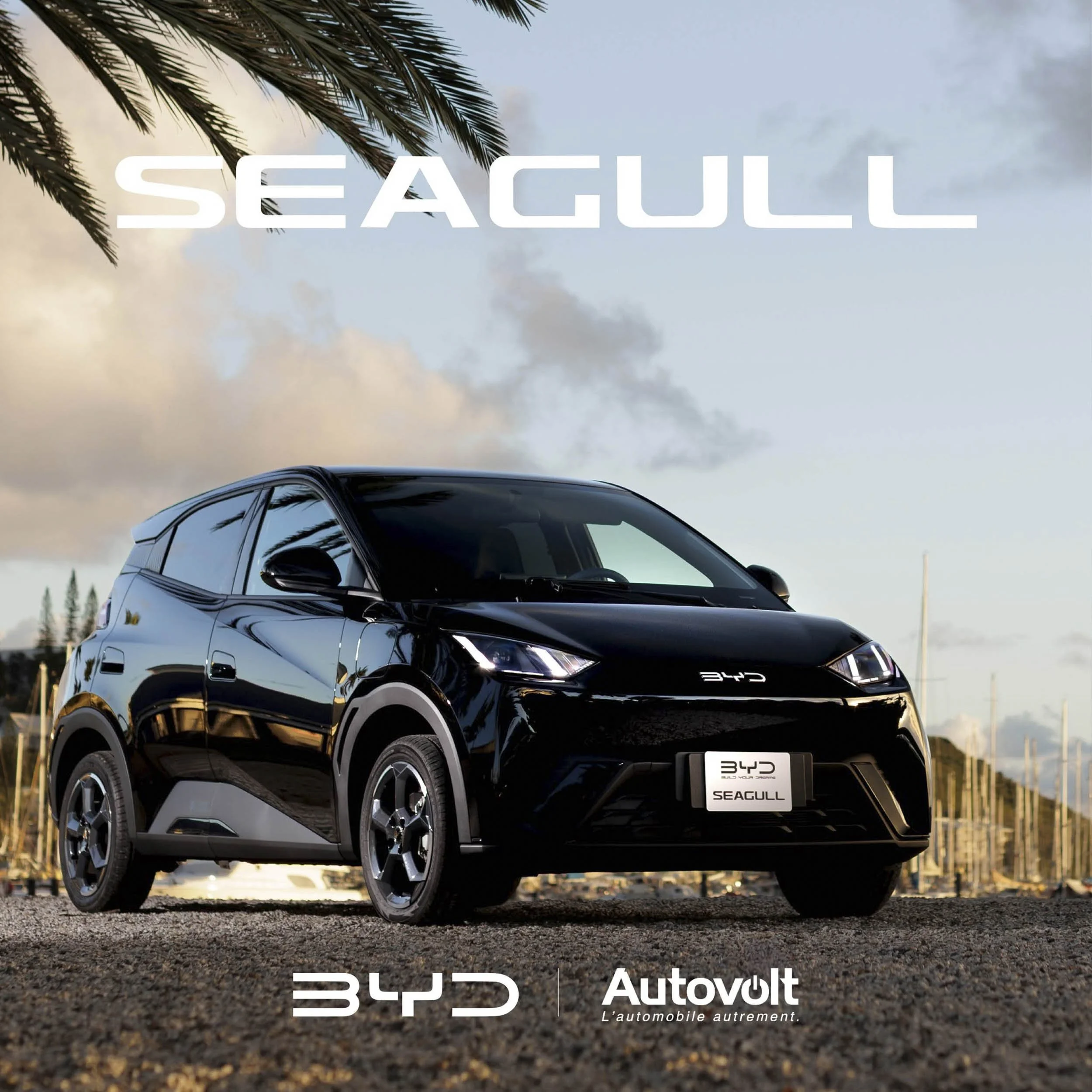 BYD Seagull Nouvelle Calédonie 1.jpg