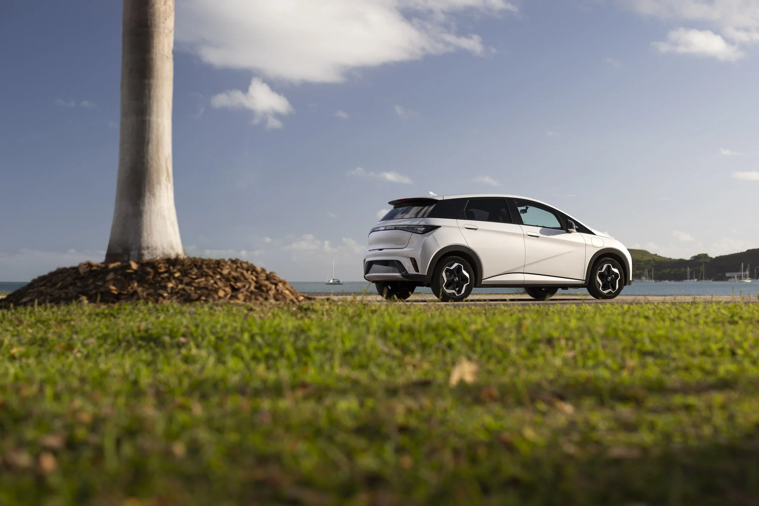 BYD Dolphin 174-Edit-Edit.jpg