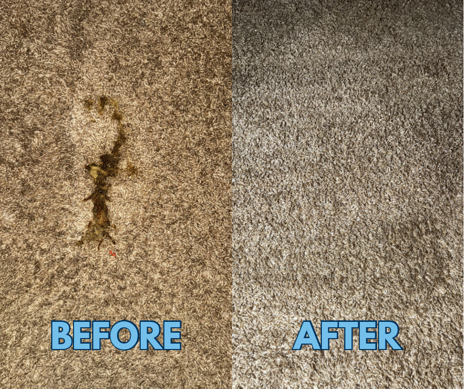 Side-by-side comparison of a carpet with a large stain on the left labeled 'BEFORE' and a clean, stain-free carpet on the right labeled 'AFTER'.