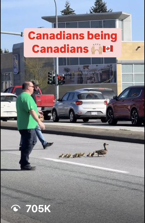 Screenshot 2025-06-30 at 8.06.09 PM.png