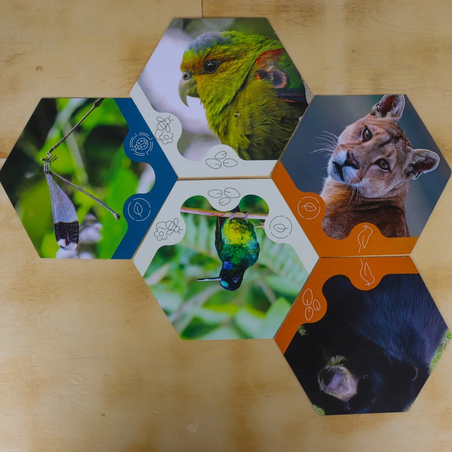 🌿 Juego de Cartas Ecosist&eacute;mica

En la COP16 (2024) realizamos una investigaci&oacute;n participativa con nuestros dispositivos para @unicef_colombia.

Descubrimos algo revelador: el 96% de las personas participantes cree que podemos enfrentar
