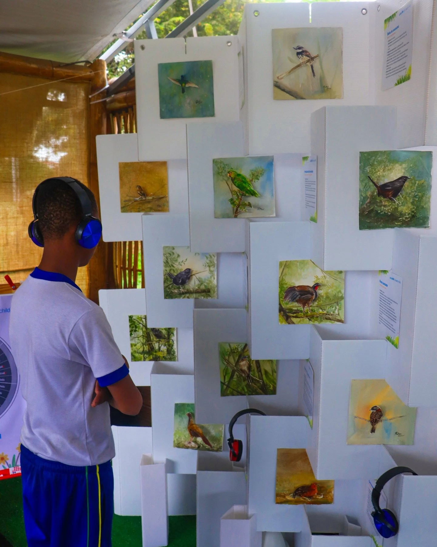 &iquest;A qu&eacute; suena el territorio? Dise&ntilde;amos un paisaje sonoro con una curadur&iacute;a de 12 aves end&eacute;micas de Cali y el Valle del Cauca, pintadas en acuarela, para explorar las distancias entre lo que escuchamos y lo que imagin