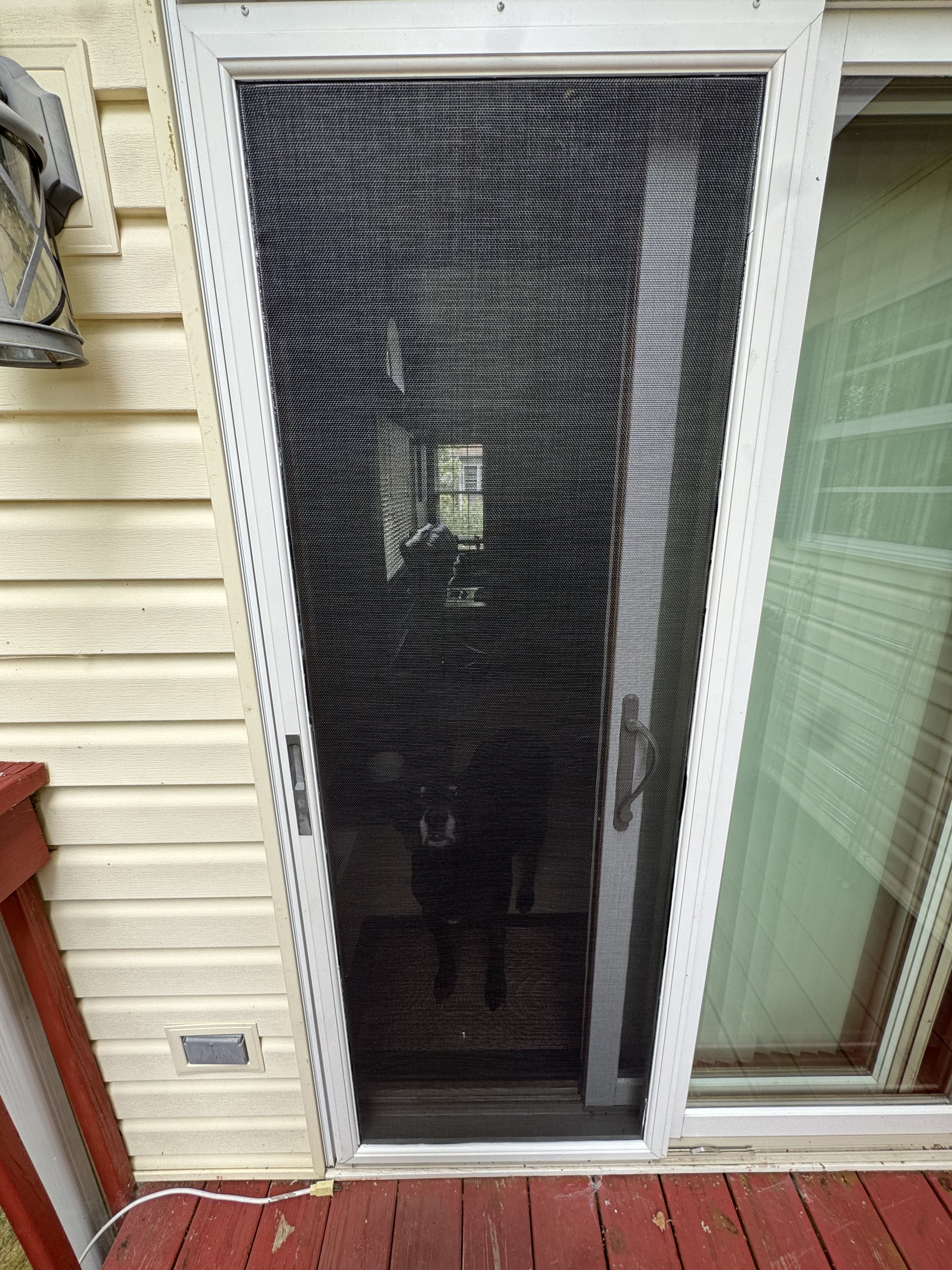 A black door with a screen door on a porch, reflecting a dog inside the house and a window outside.