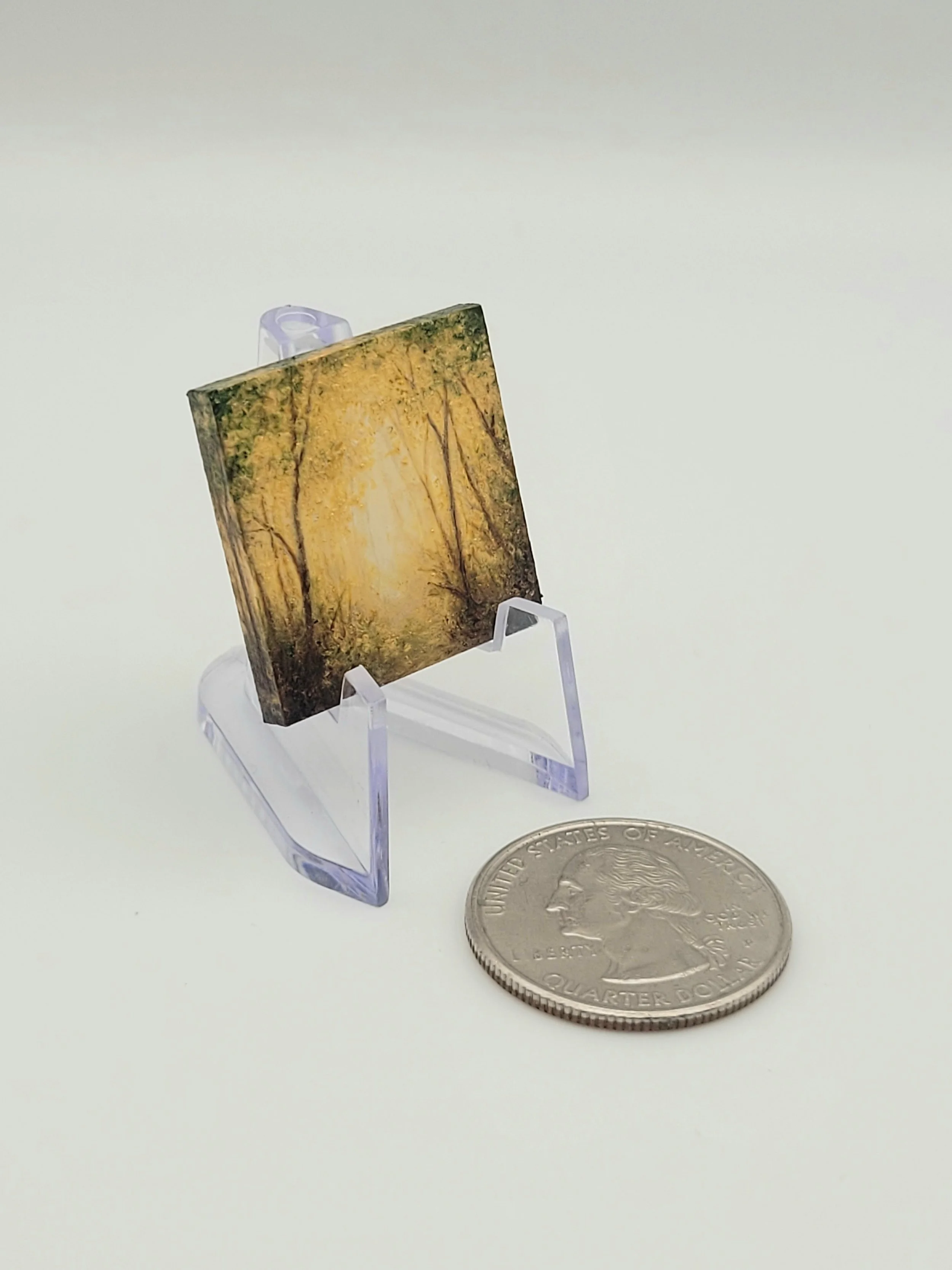 *Sold* Micro #7 (1x1)