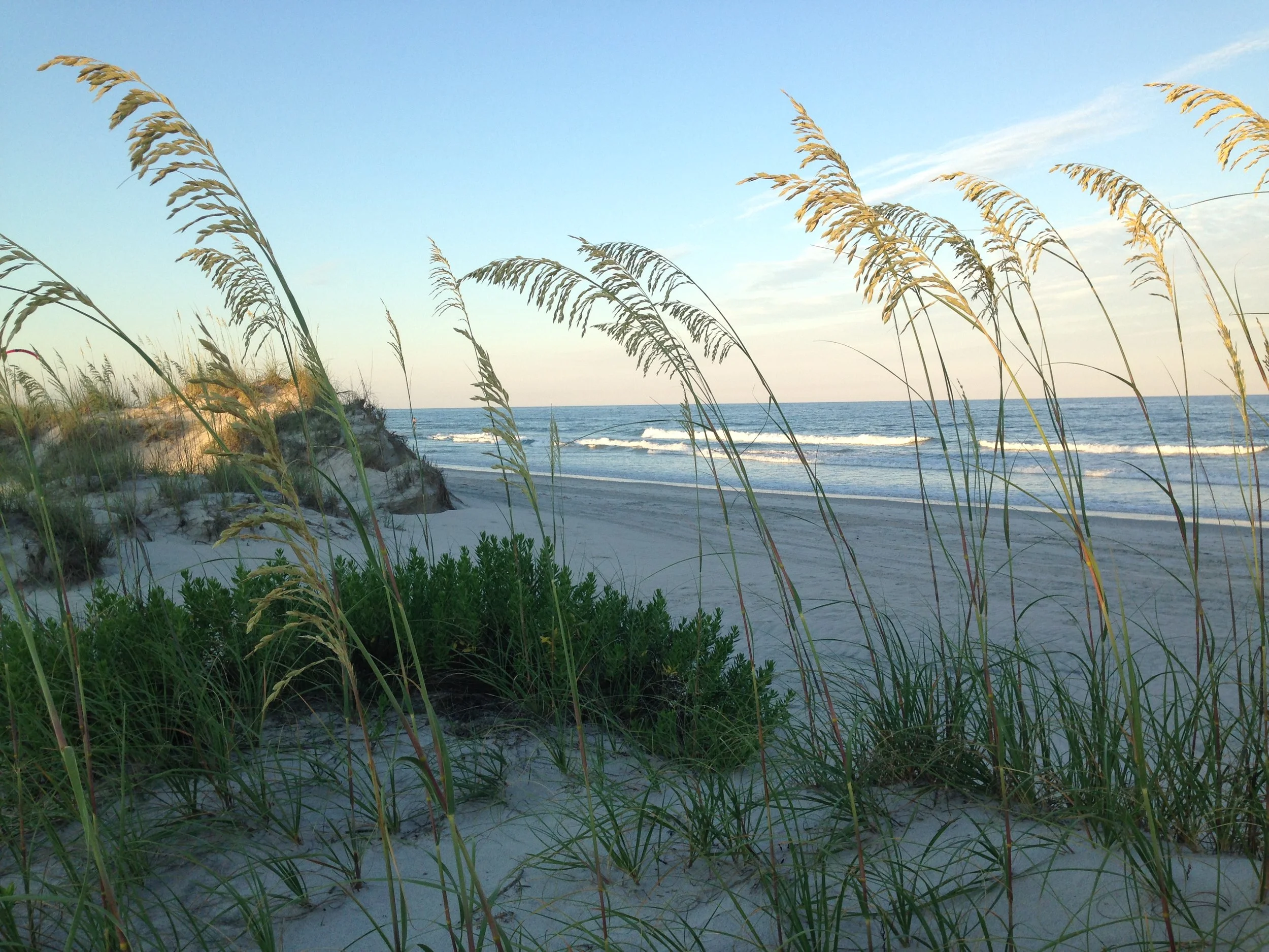 Sandy beach with tall grass and dune plants, ocean waves, and a sky with some clouds.