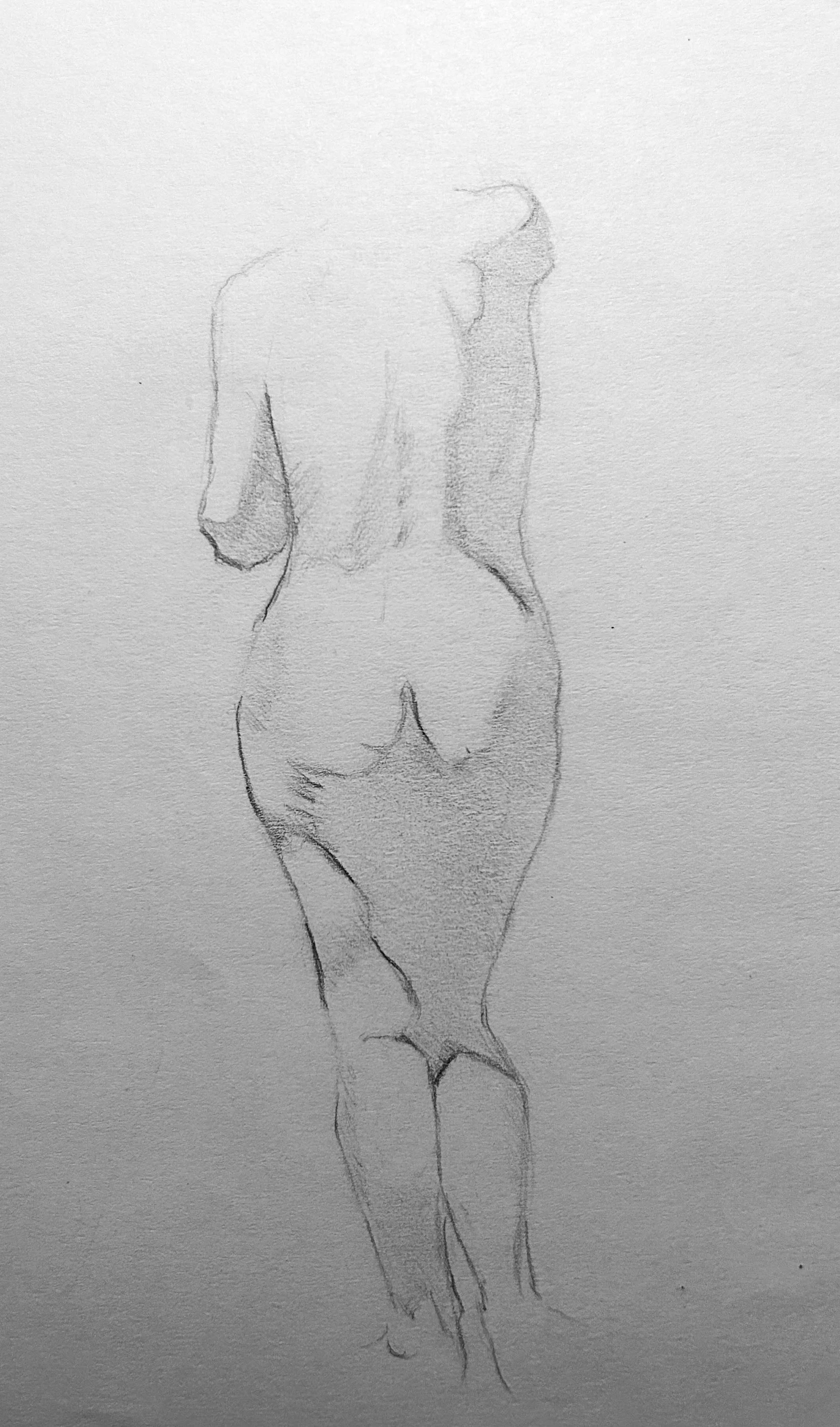 Replica Study of Figure from Vanderpoel, The Human Figure. Graphite on Paper. Jo Feldman, 2024
