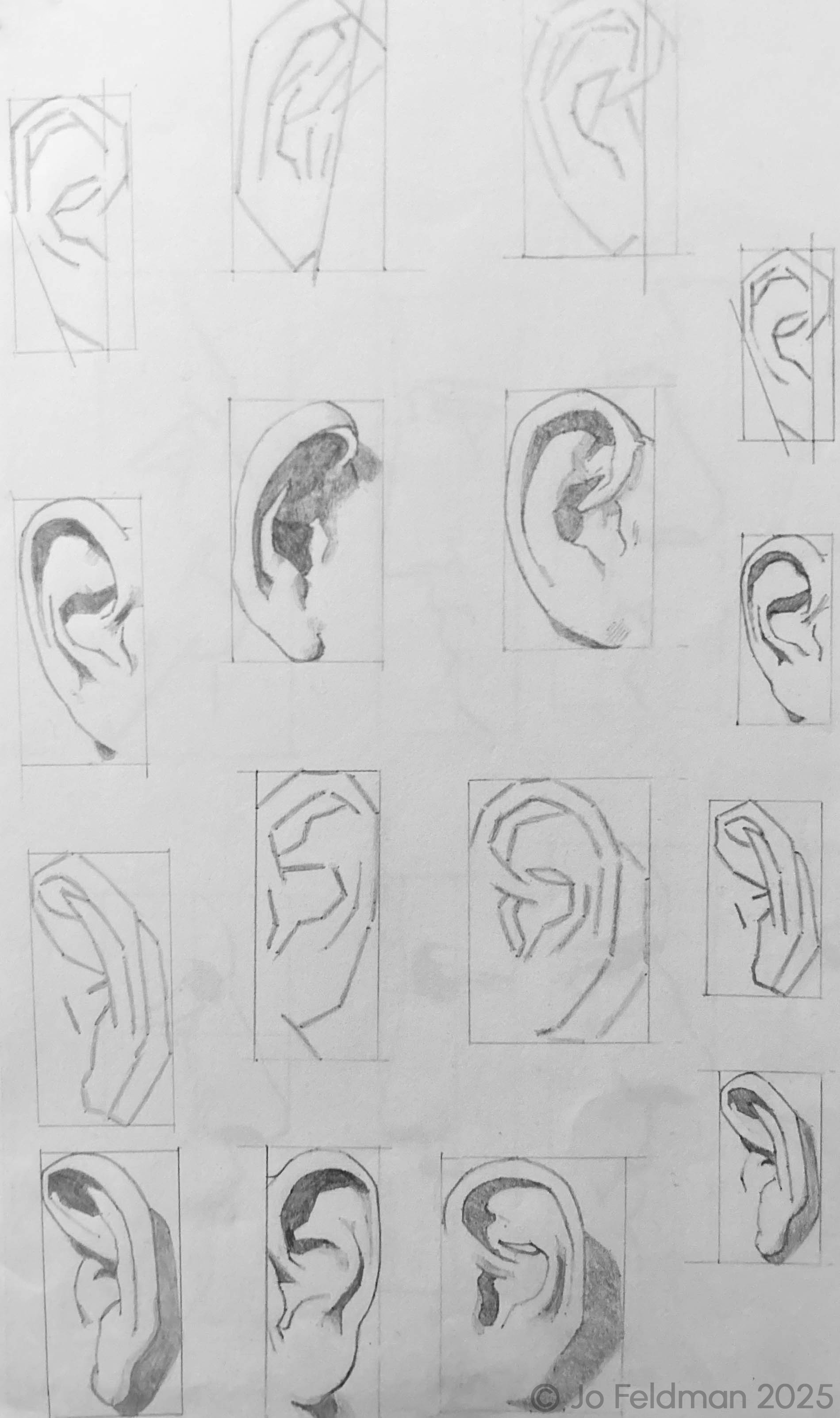 Replica Study of Ear. Bargue Plate 1,4. Graphite on Paper. Jo Feldman, 2023