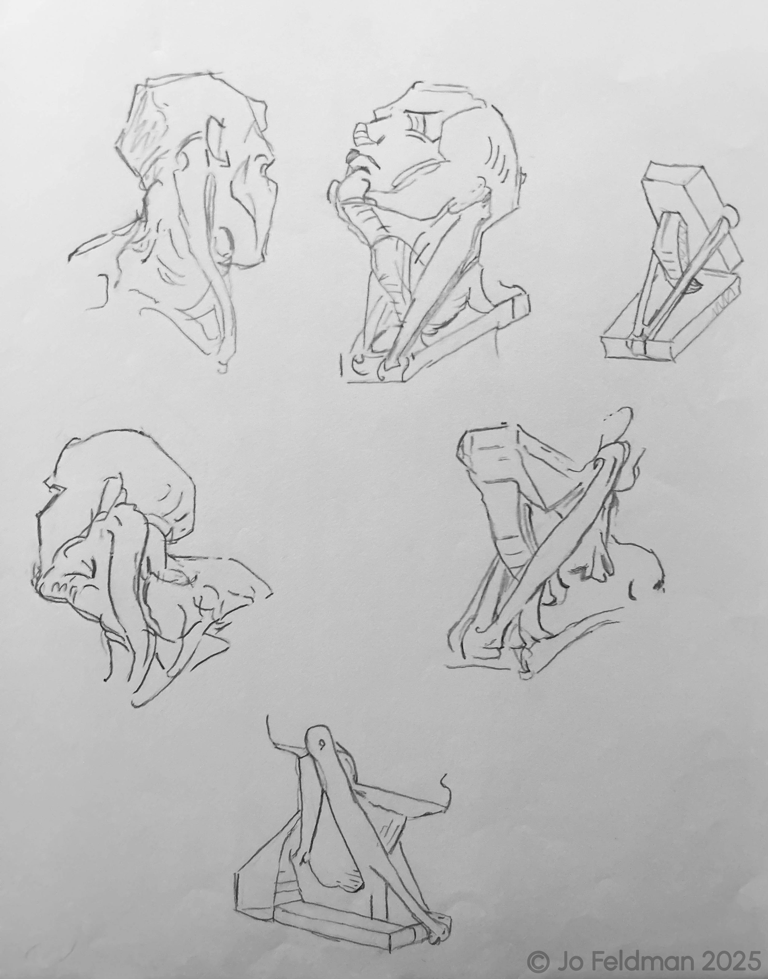 Replica Study of the Head from G. Bridgman. Graphite on Paper. Jo Feldman, 2024