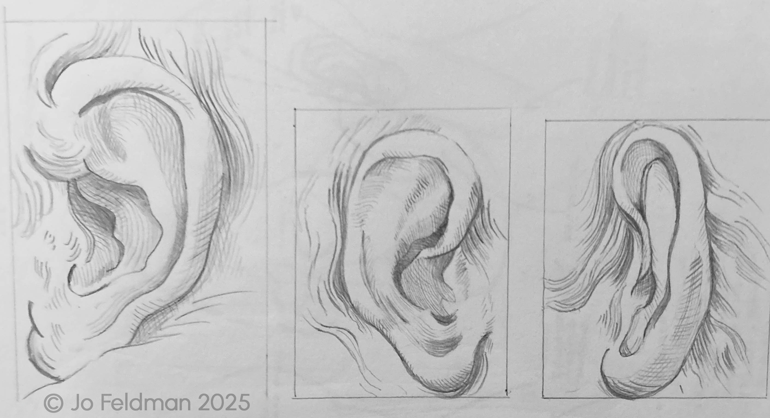 Replica Study of Ear. Graphite on Paper. Jo Feldman, 2024