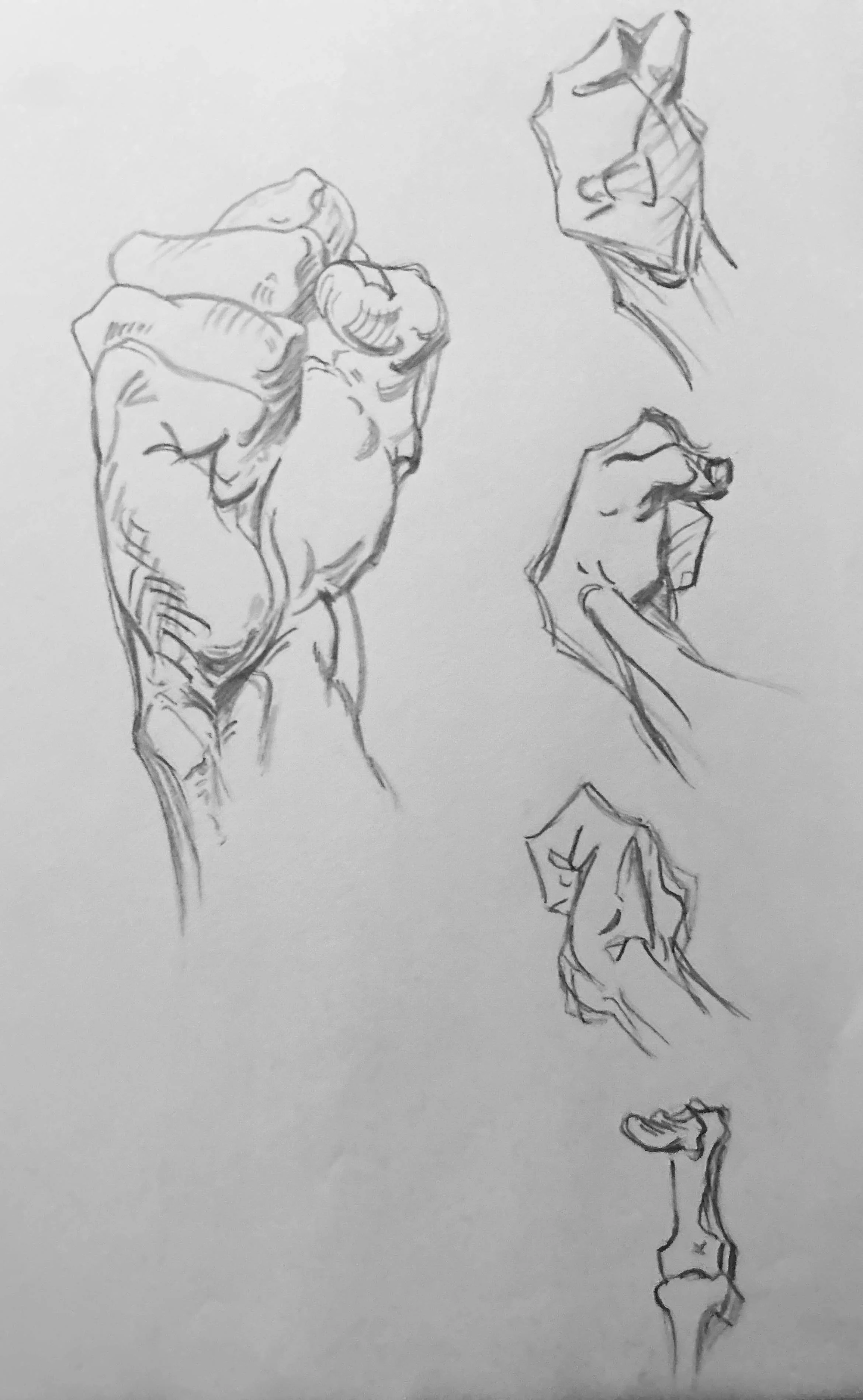 Replica Study of Hands from G. Bridgman, The Study of a Hundred Hands. Graphite on Paper. Jo Feldman, 2024