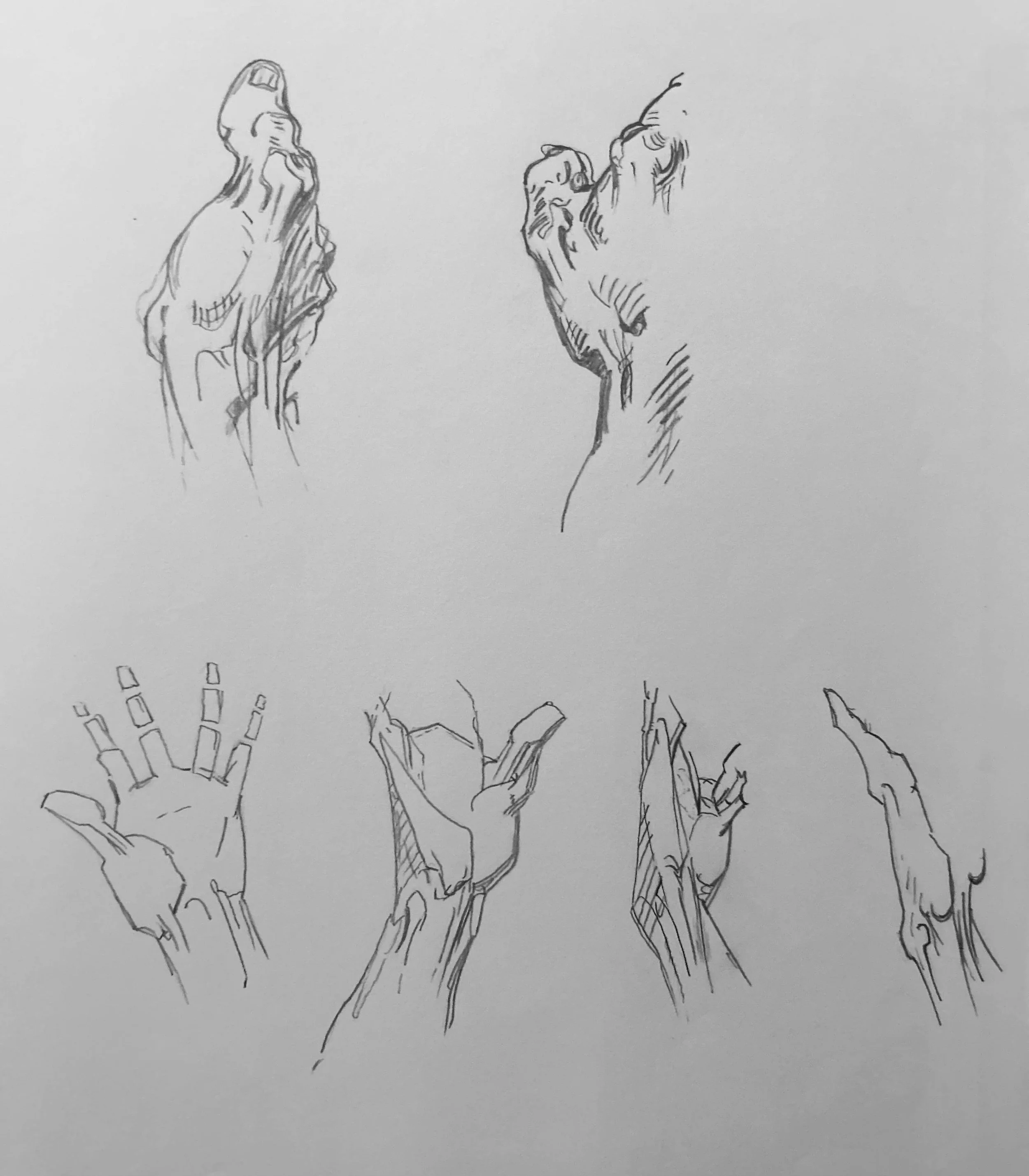 Replica Study of Hands from G. Bridgman, The Study of a Hundred Hands. Graphite on Paper. Jo Feldman, 2024