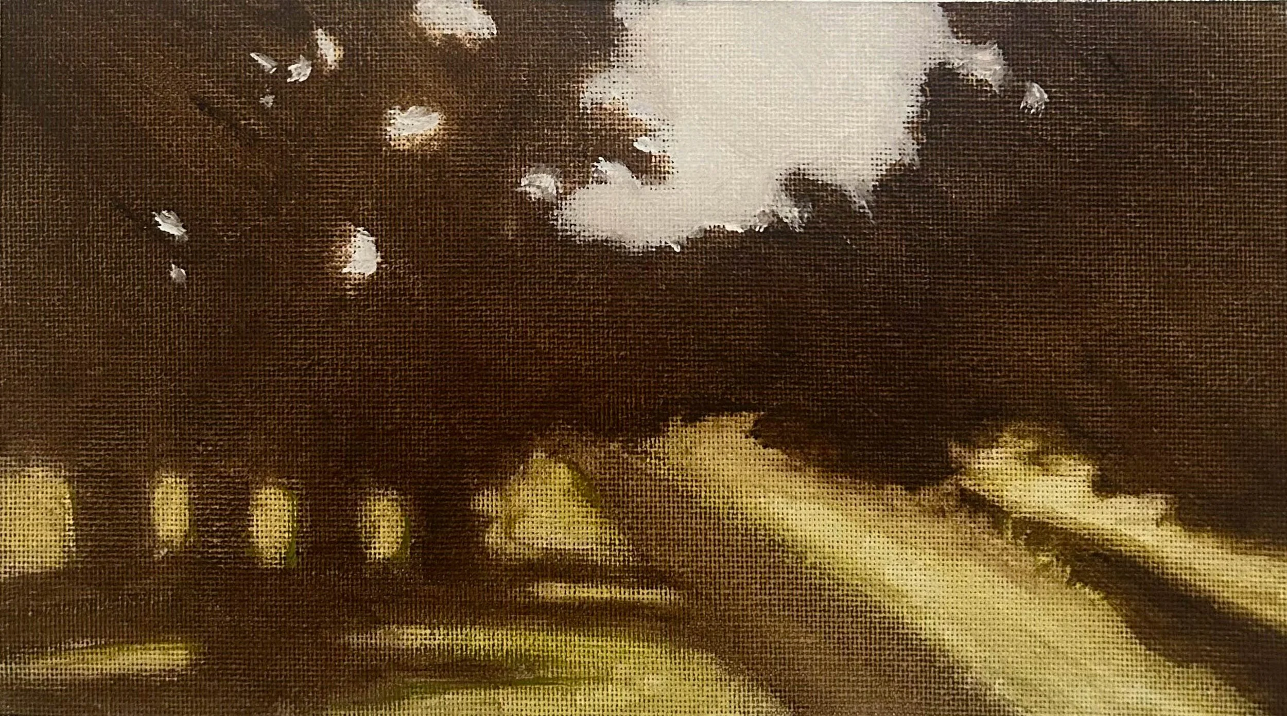 Plein Air. Thompson-Neely Park, PA. Oil Wash on Canvas. Jo Feldman, 2024