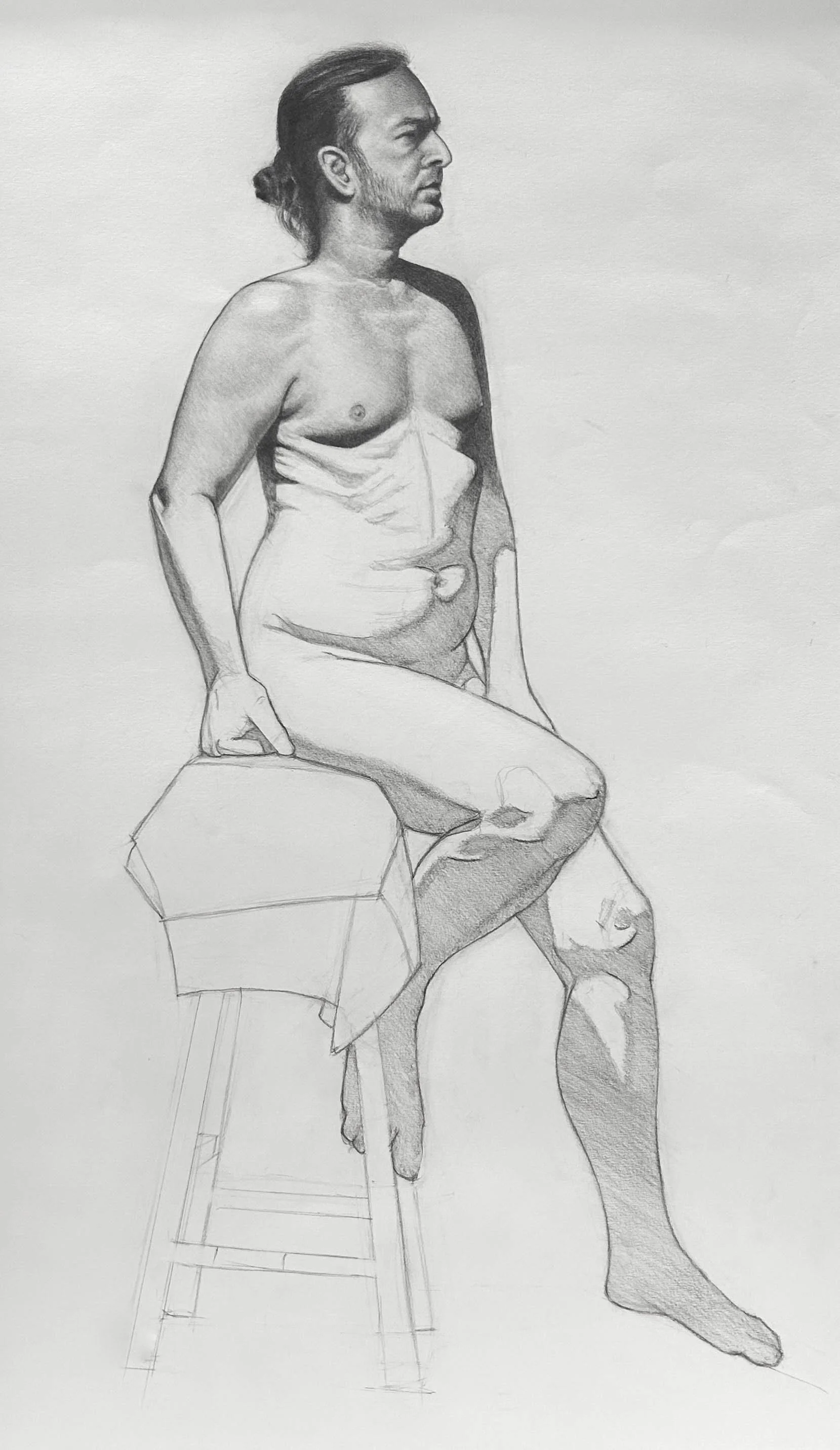 Long Pose of Dan. Window Shading. Graphite on Paper. Jo Feldman, 2024