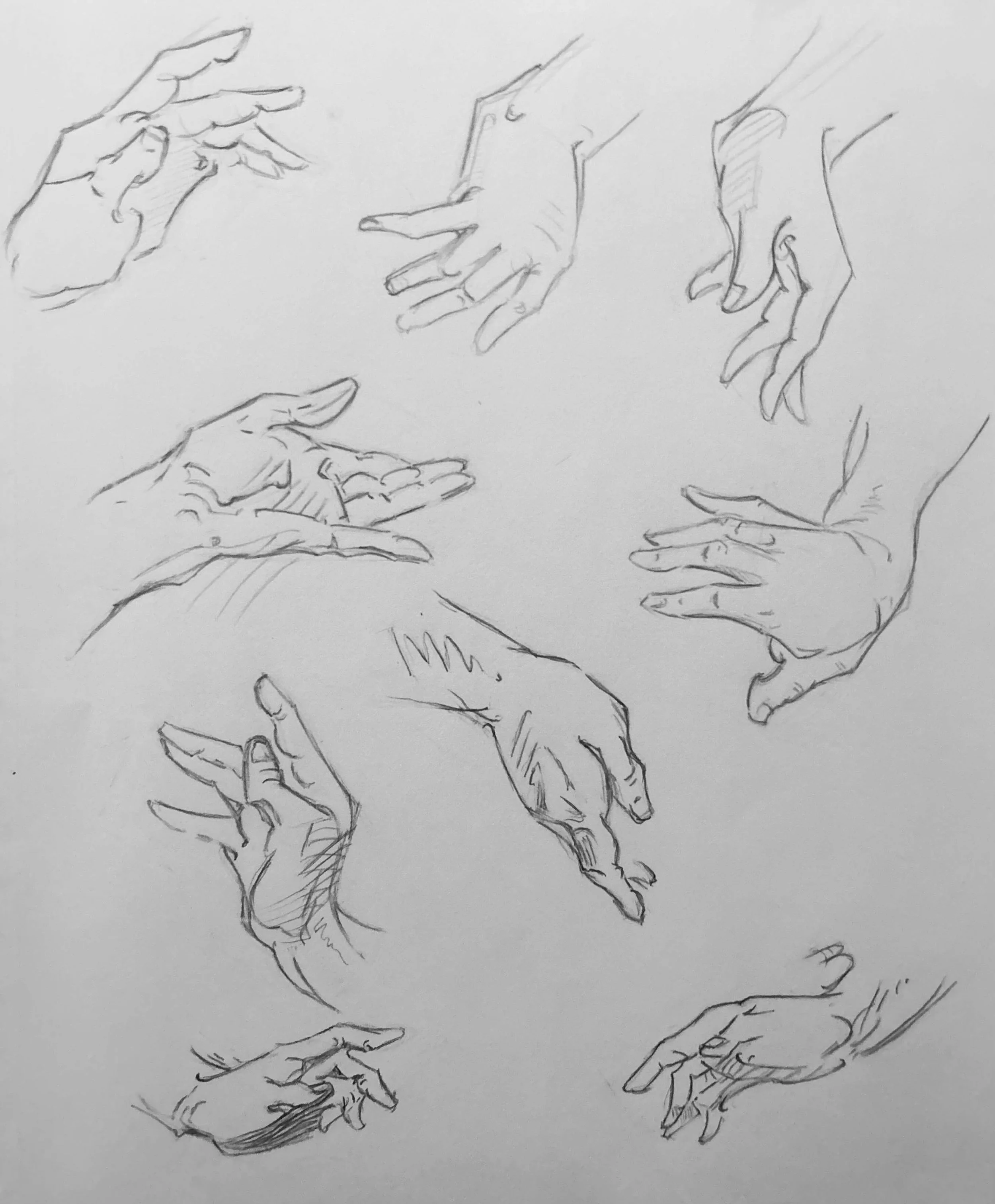 Replica Study of Hands from G. Bridgman, The Study of a Hundred Hands. Graphite on Paper. Jo Feldman, 2024