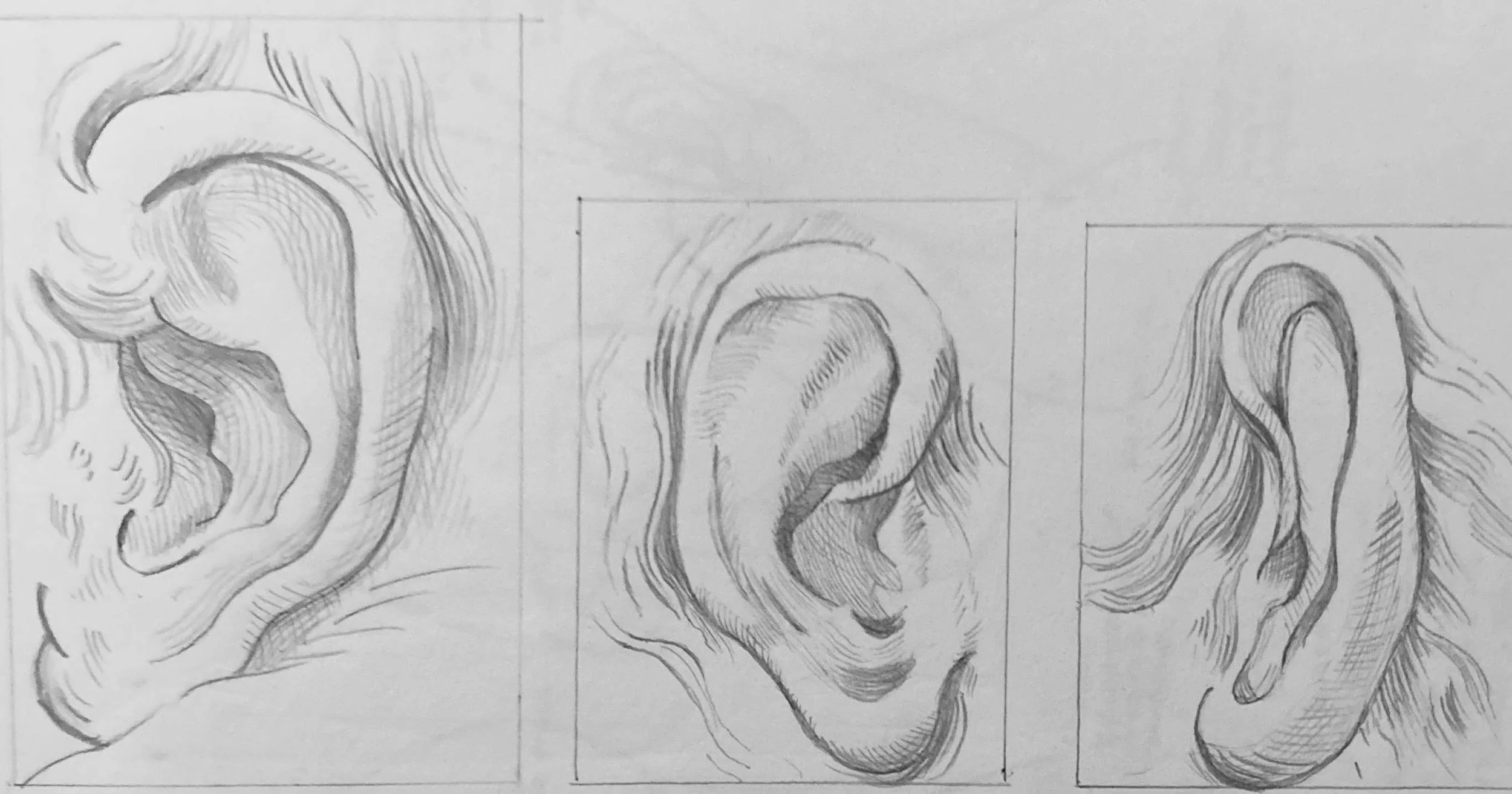Replica Study of Ear. Graphite on Paper. Jo Feldman, 2024