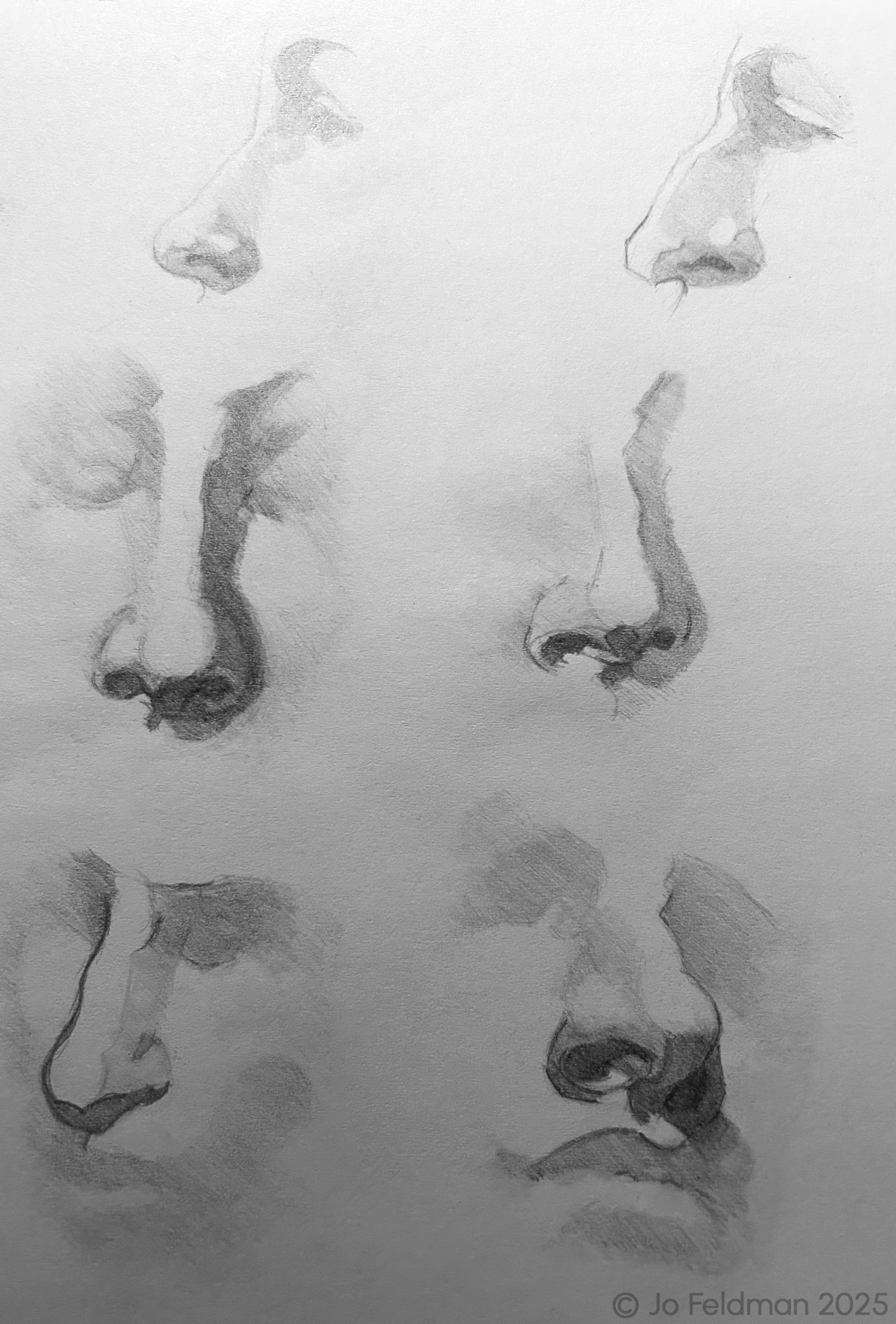 Replica Study of Nose from Vanderpoel, The Human Figure. Graphite on Paper. Jo Feldman, 2024