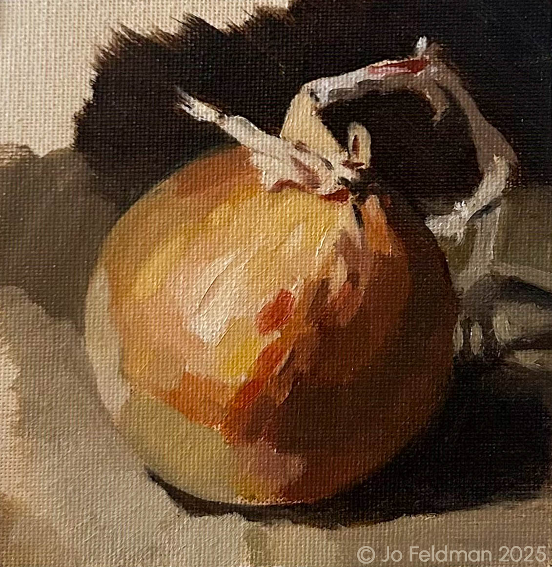 Alla Prima of Onion. Limited Palette. Oil on Canvas. Jo Feldman, 2025