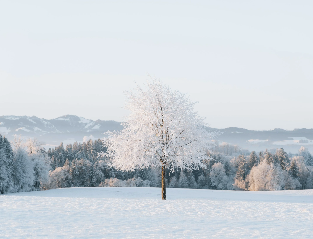 This Is Not About Willpower or Character