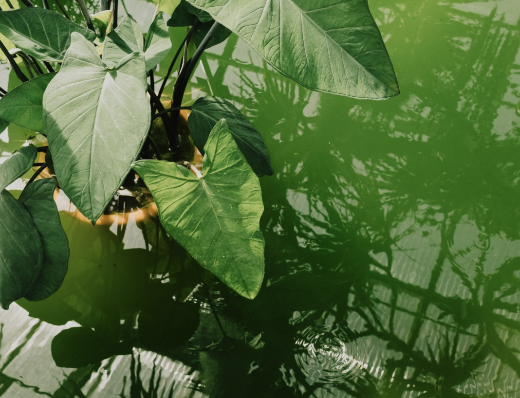 How You Can Lose Yourself While Being a “Good” Caregiver&nbsp;