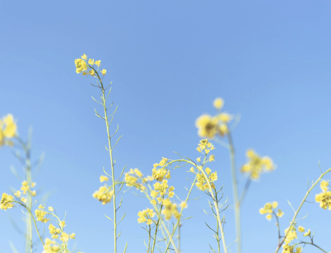 Feeling Drained Doesn’t Mean You’re Failing — It Means You Need Support and Strategy