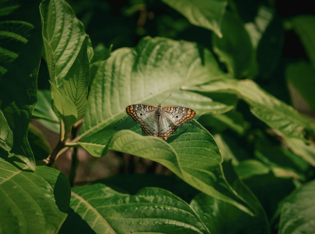 When You Feel Empty After Years of Caring for Others