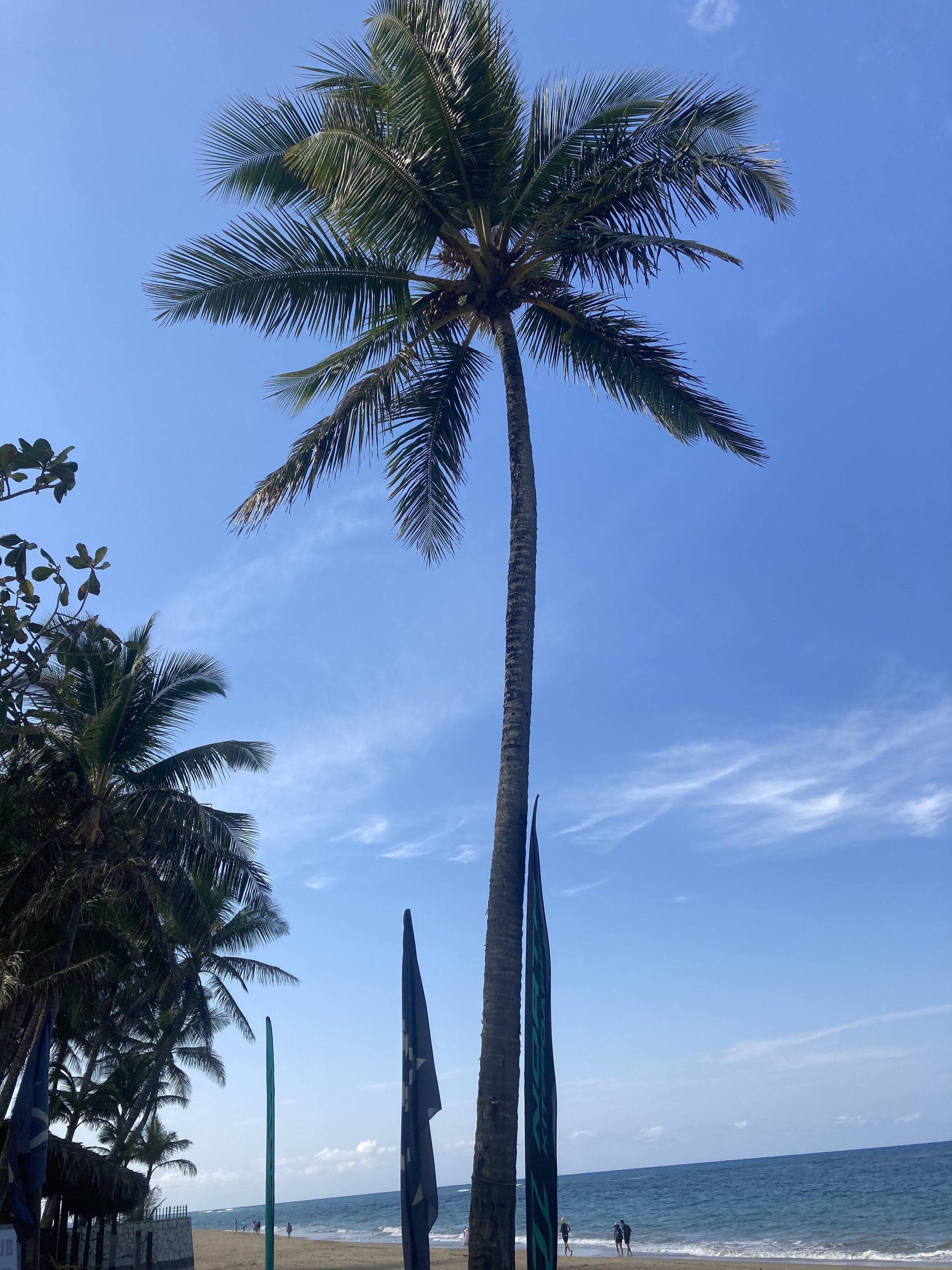 IMG_0090.jpeg