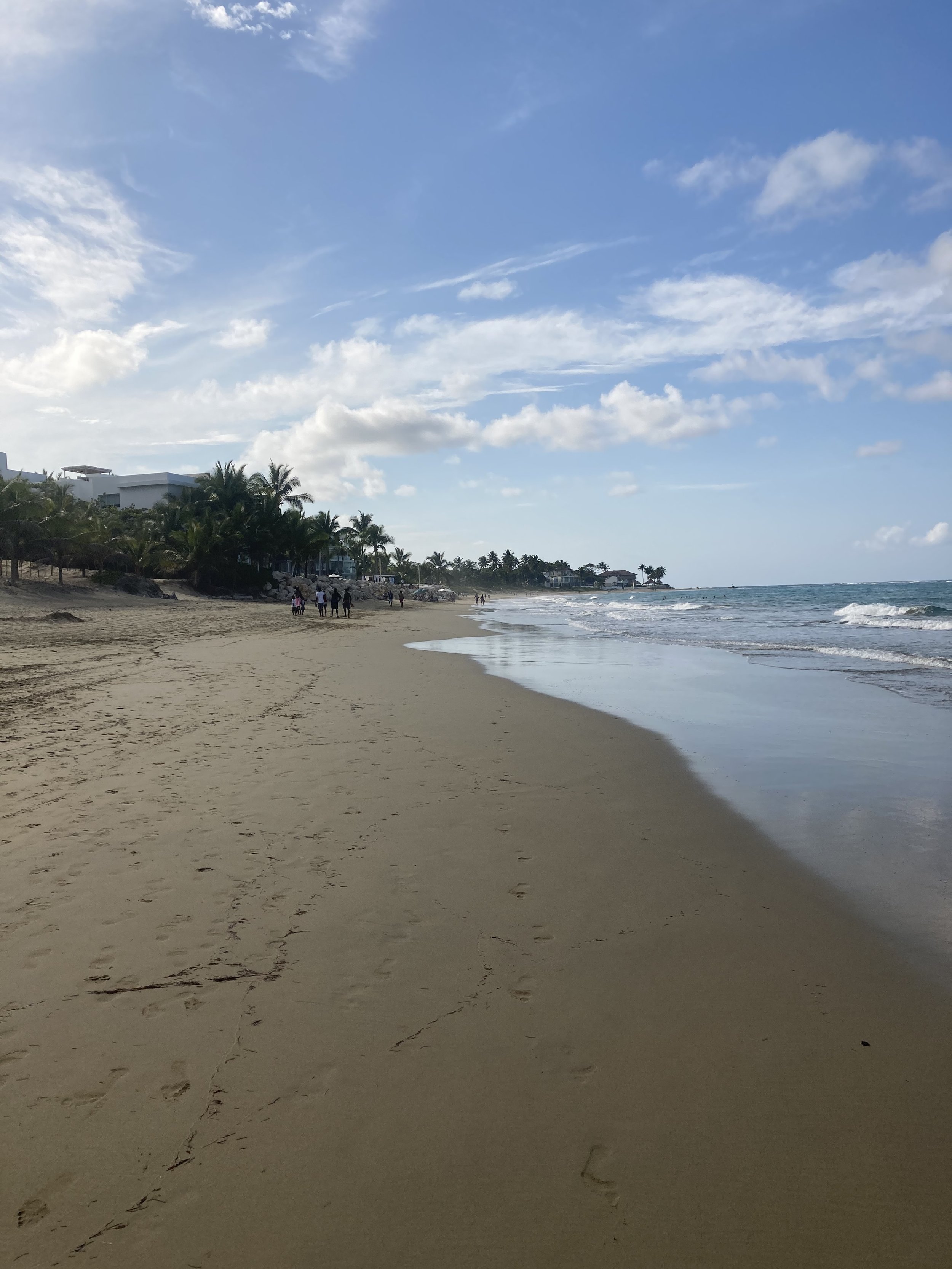IMG_0105.jpeg