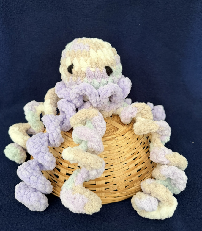 Jellyfish