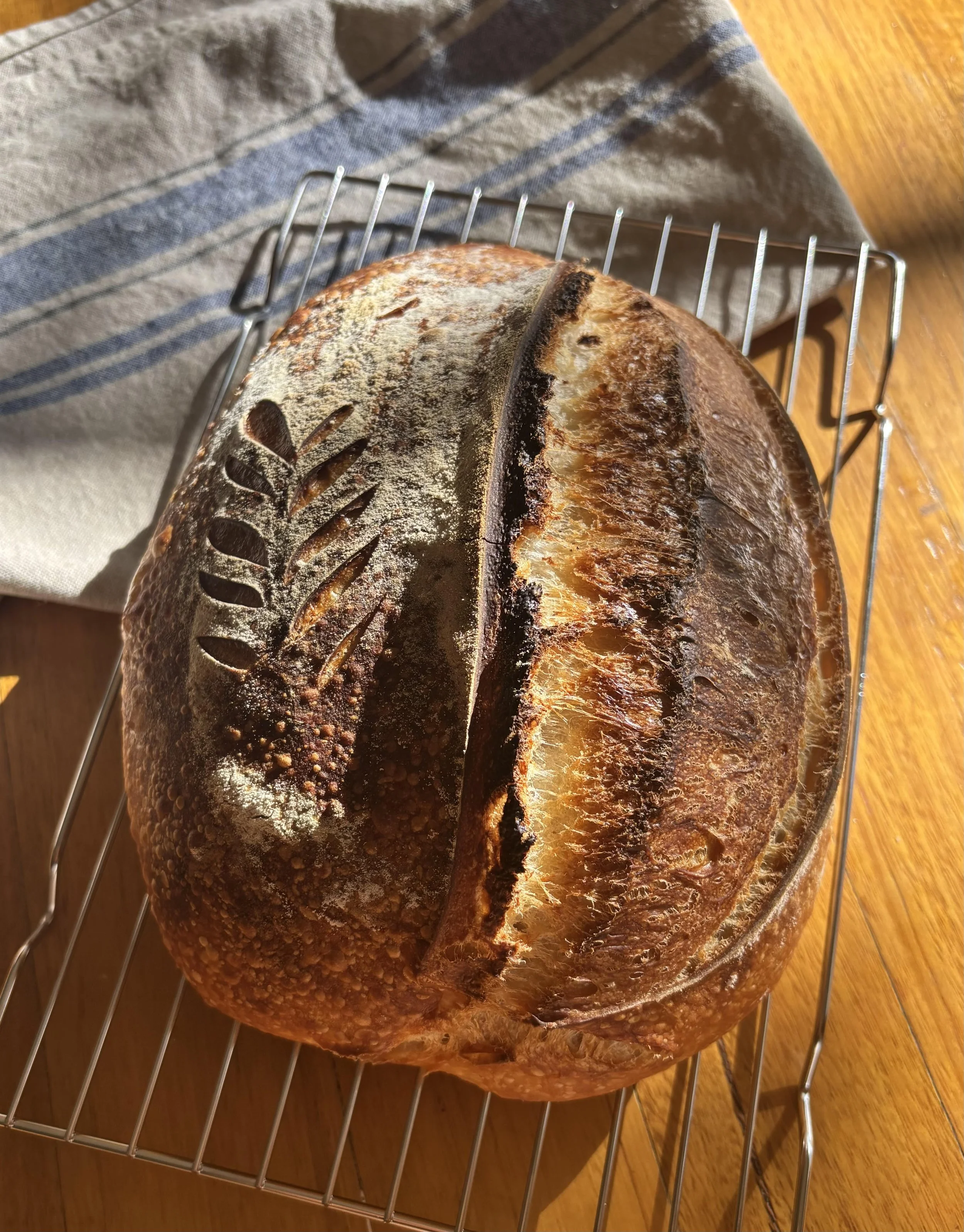 Traditional White Sourdough