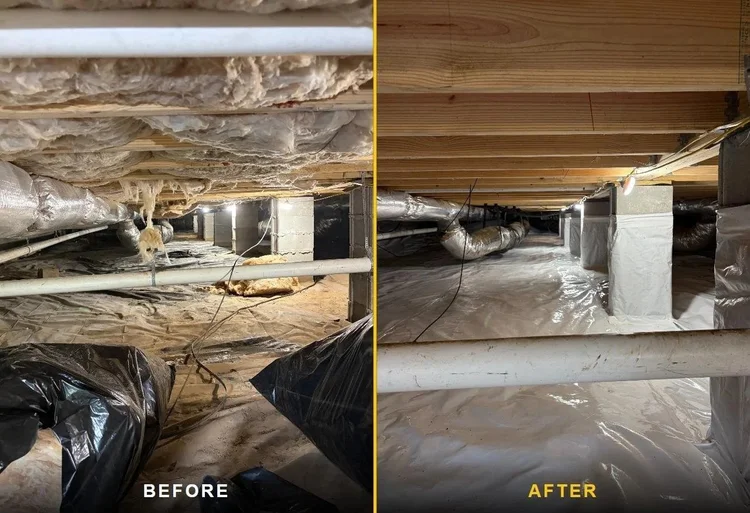 Crawl space insulation removal before and after in Tennessee