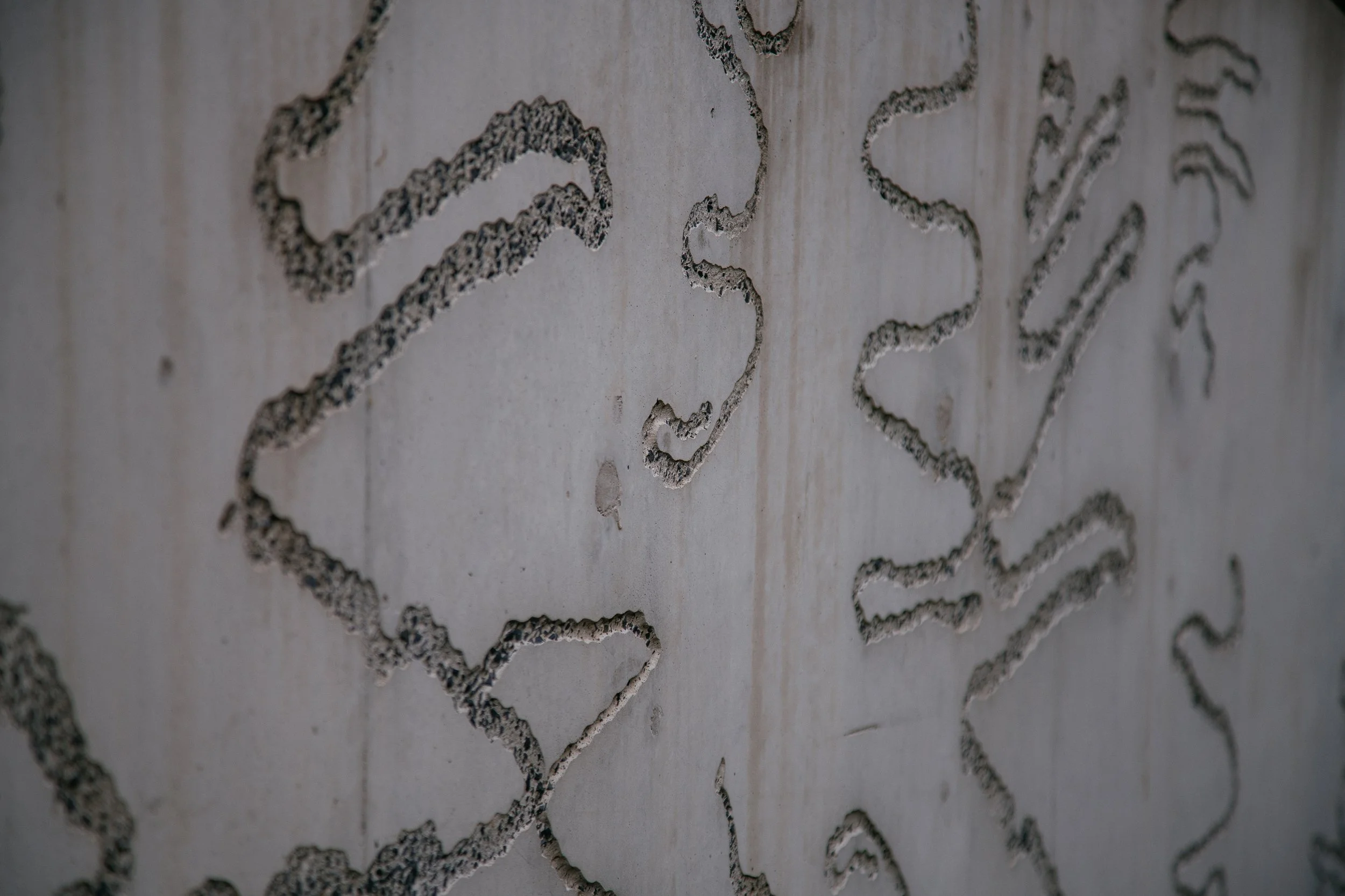Scribbly Gums, Jason Wing