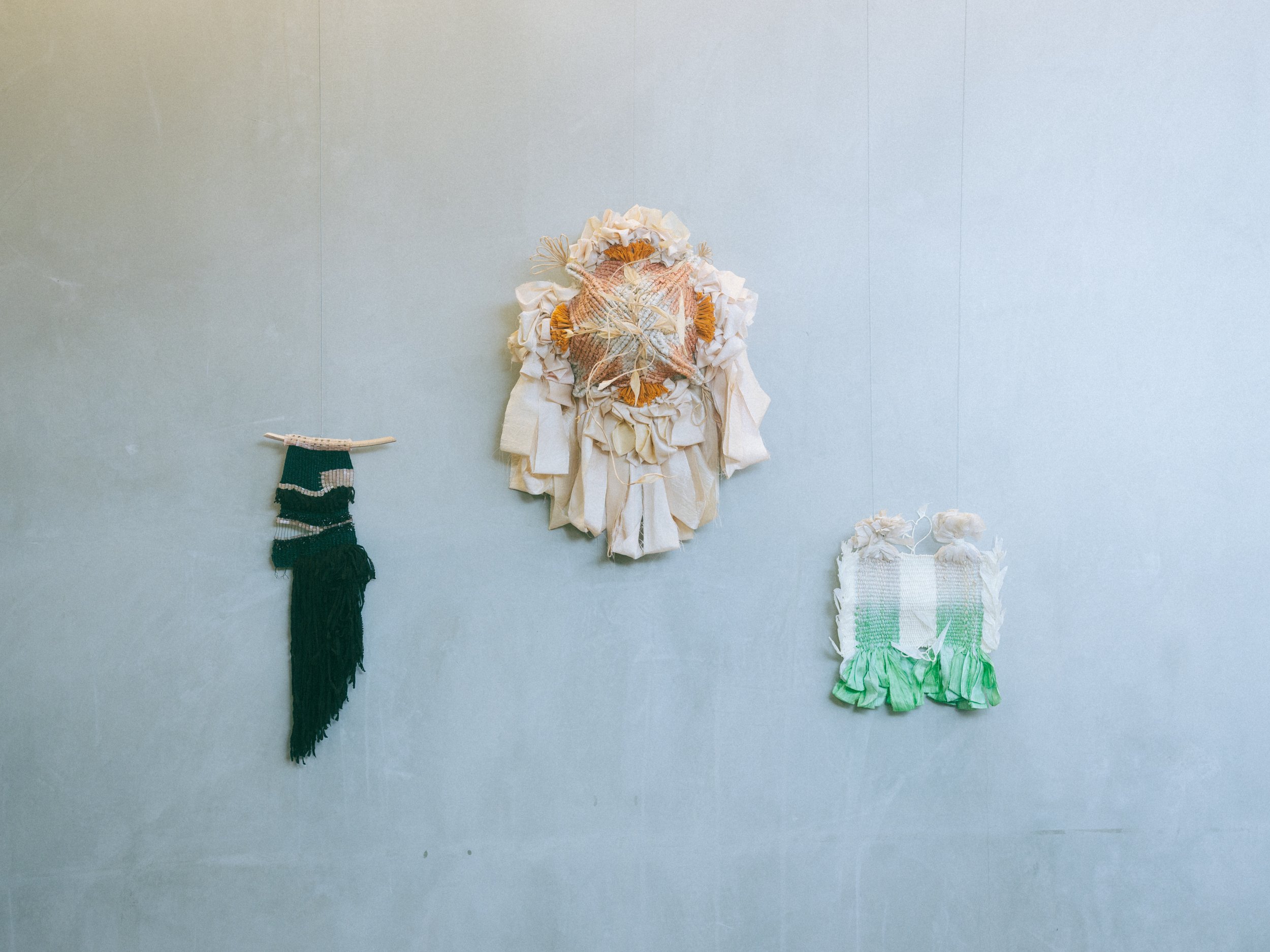 Installation view of works by Zoe Jones