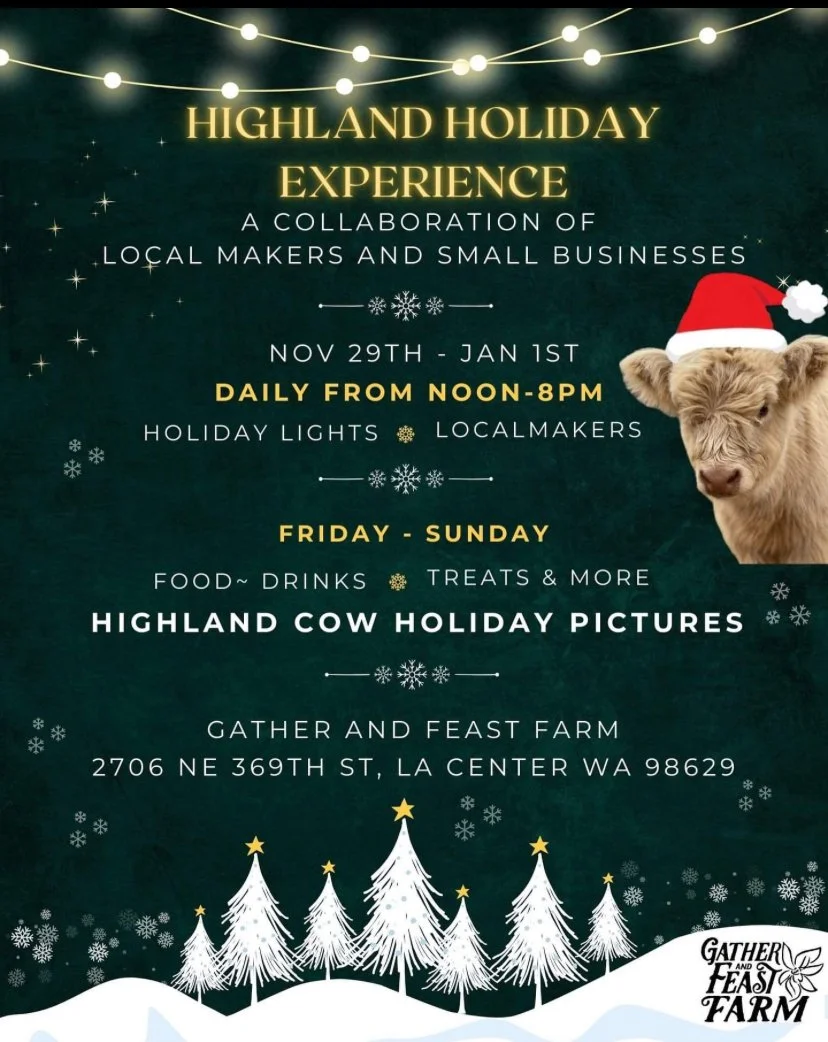 Highland Holiday Experience 