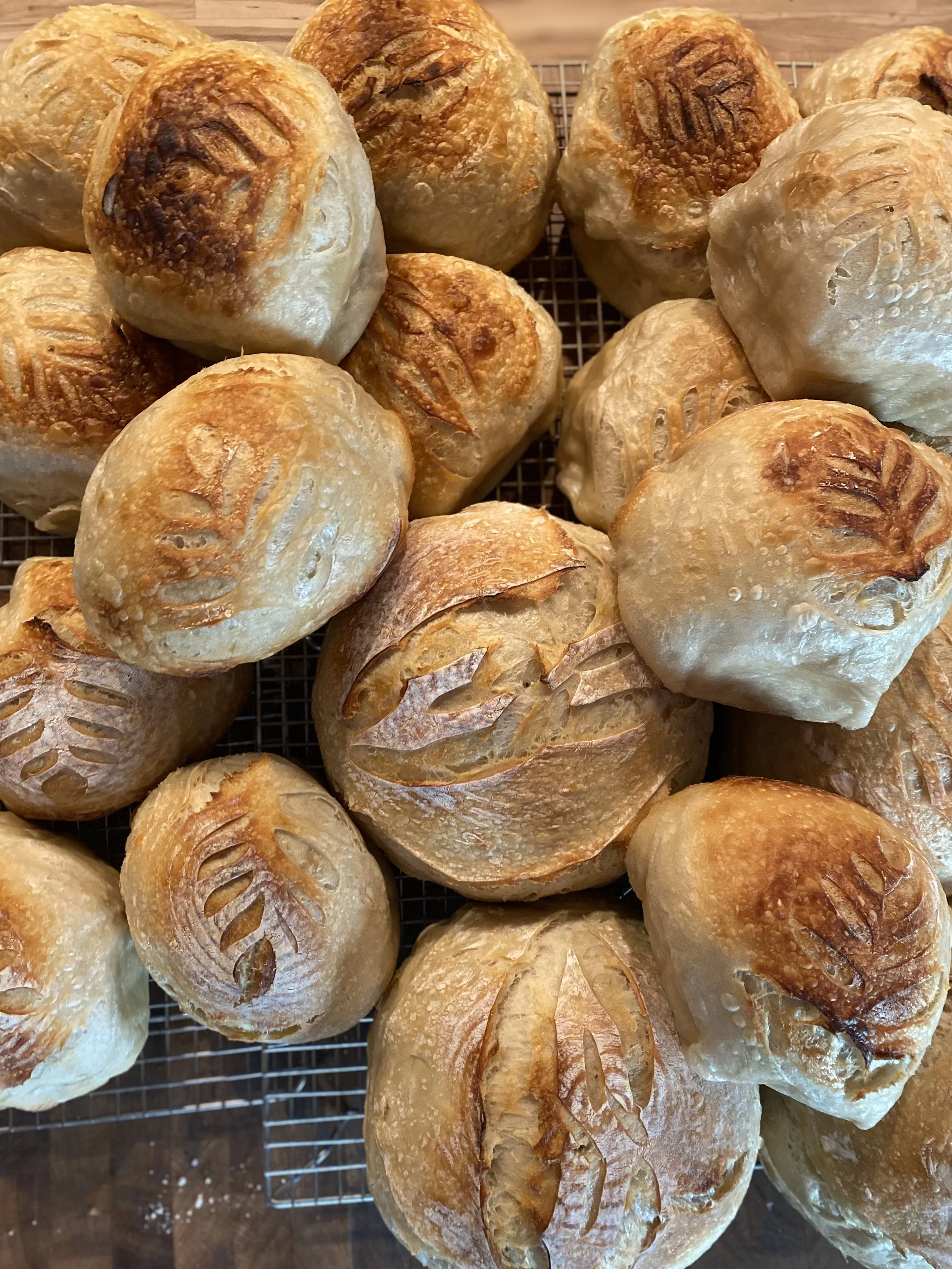 Freshly baked bread rolls with scored tops on a cooling rack.