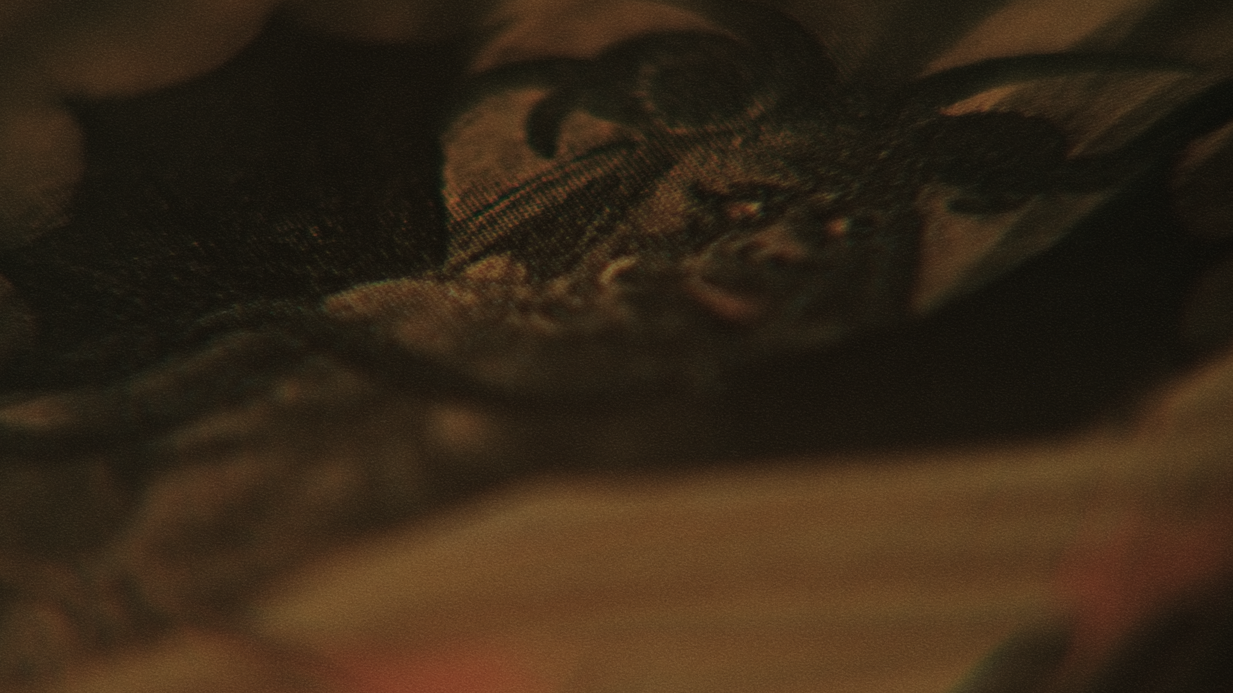 Blake Finishing v2.00_00_36_07.Still024.png